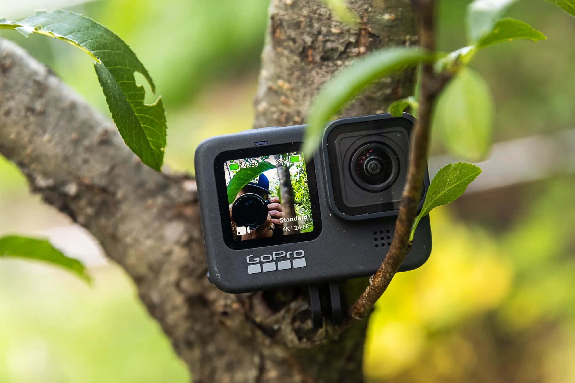 gopro 桌布 壁紙 — 安裝在樹枝上的GoPro相機捕捉到一個人拿著相機在螢幕中的倒影。