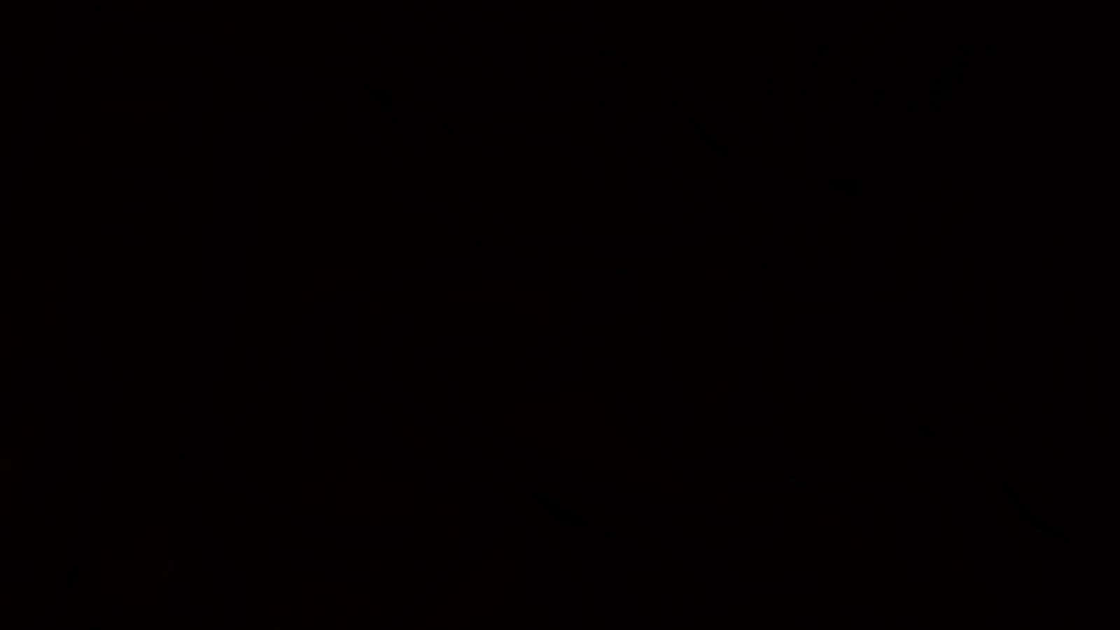 Plain Black Desktop 桌布 壁紙 — 完全黑色的背景，沒有可見的元素或細節。