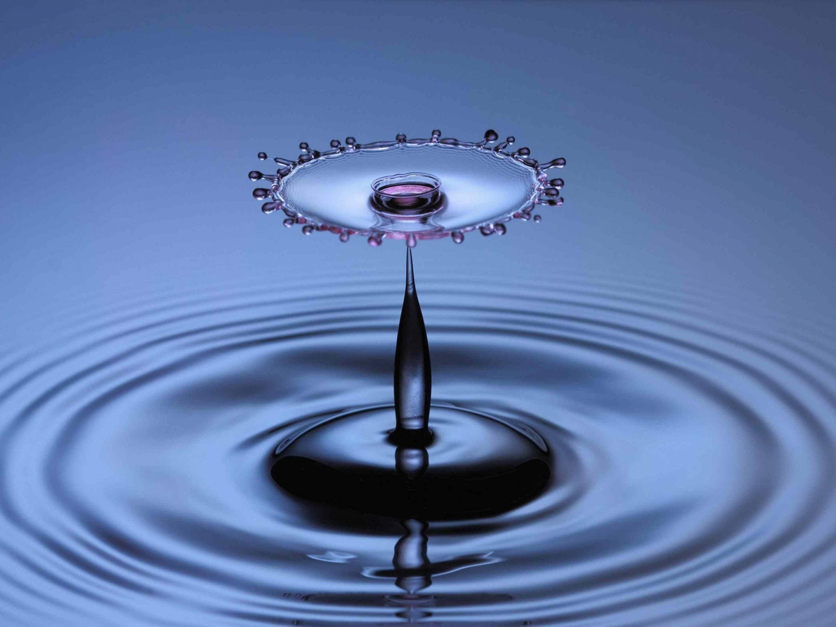 Droplets 桌布 壁紙 — 完美捕捉的水滴向上飛濺，在光滑的藍色表面上形成同心漣漪上方的水滴皇冠。