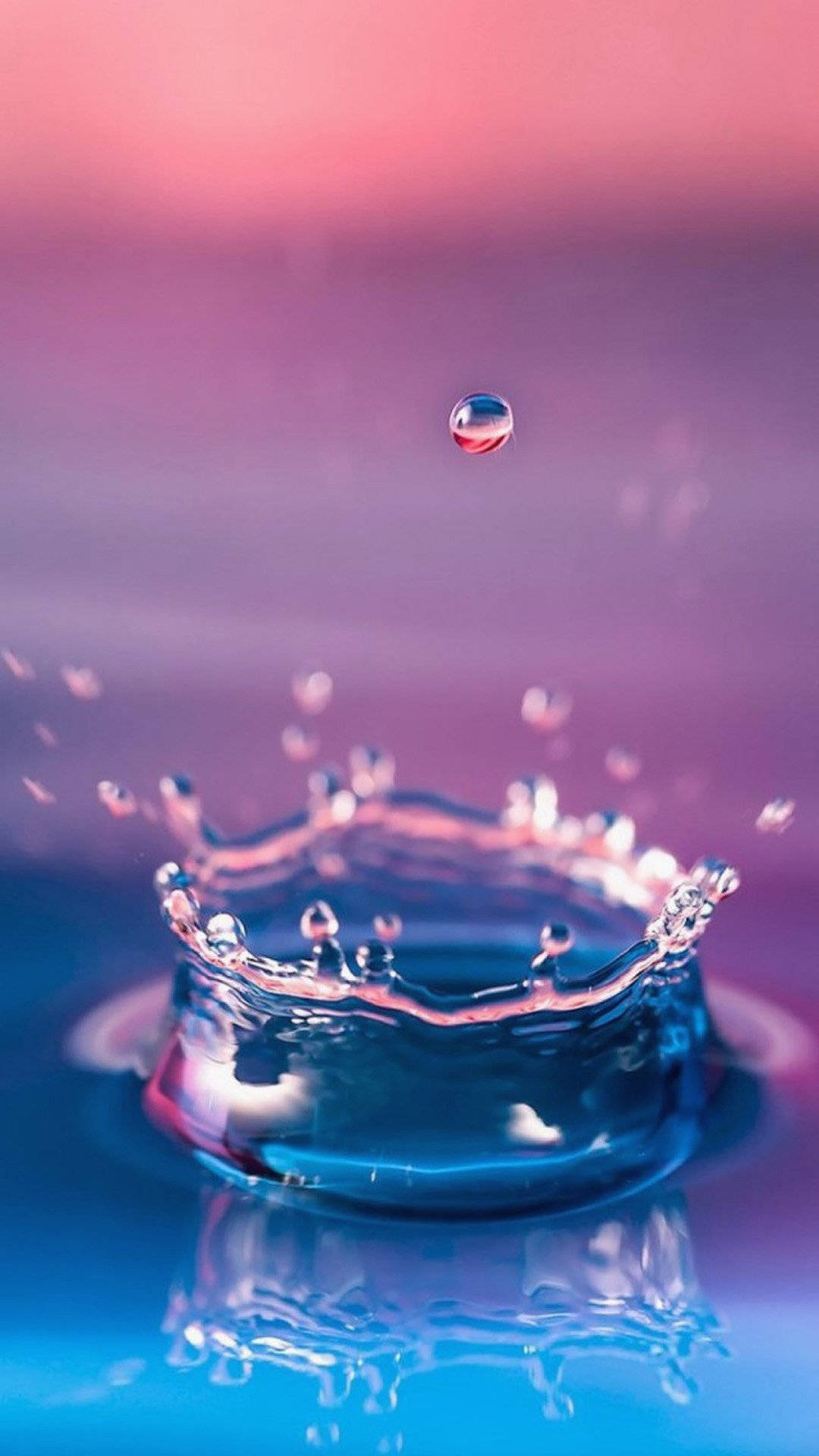 水 桌布 壁紙 — 完美捕捉的水滴懸浮在皇冠形水花之上，背景為粉紅和藍色漸變。