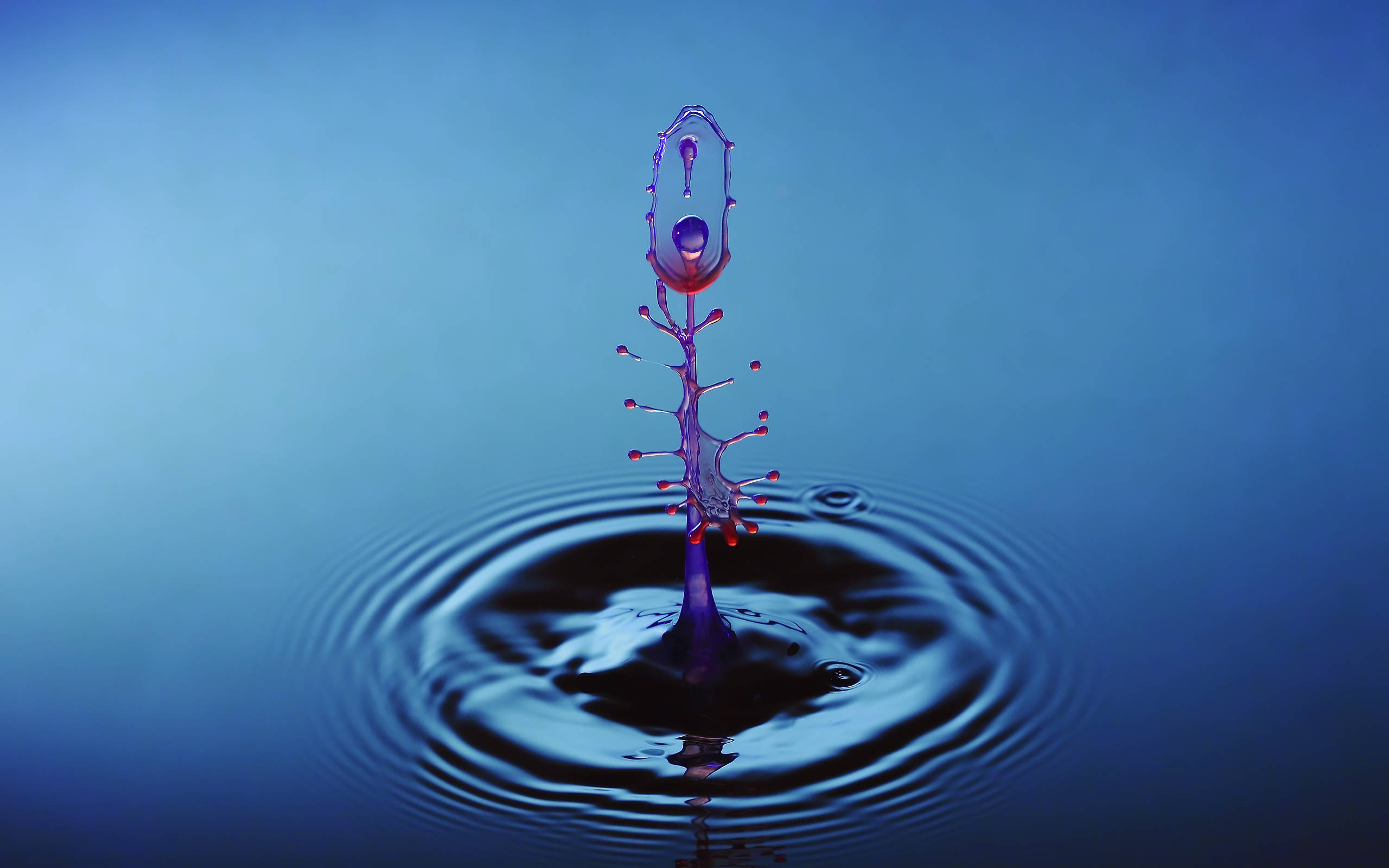Droplets 桌布 壁紙 — 完美捕捉的水滴爆炸，帶有皇冠狀飛濺和同心漣漪，背景為漸變藍色。