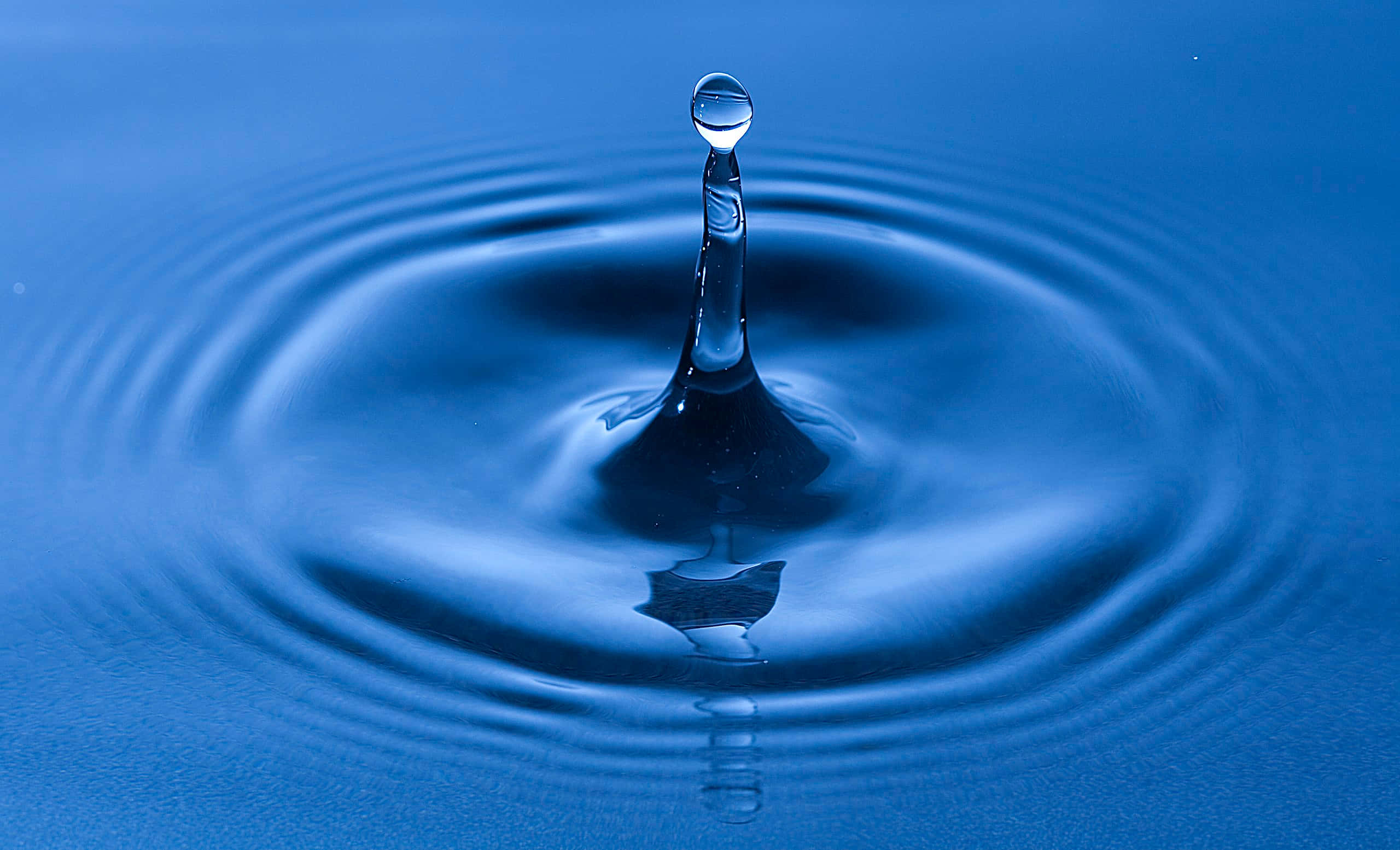 Water Drop 桌布 壁紙 — 完美的水滴皇冠在深藍色液體表面的同心漣漪上形成。