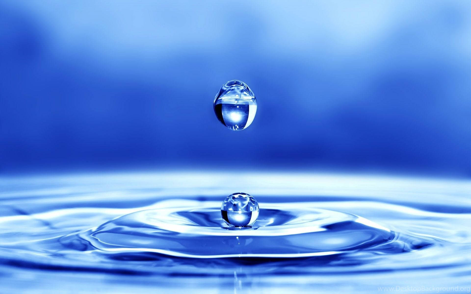 Water Drops 桌布 壁紙 — 完美的藍色水滴懸浮在漣漪表面的倒影之上，襯托著柔和的藍色漸變背景。