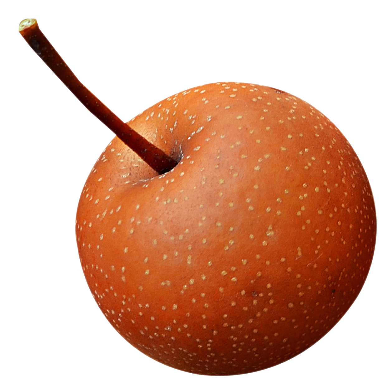完美紅蘋果 壁紙
