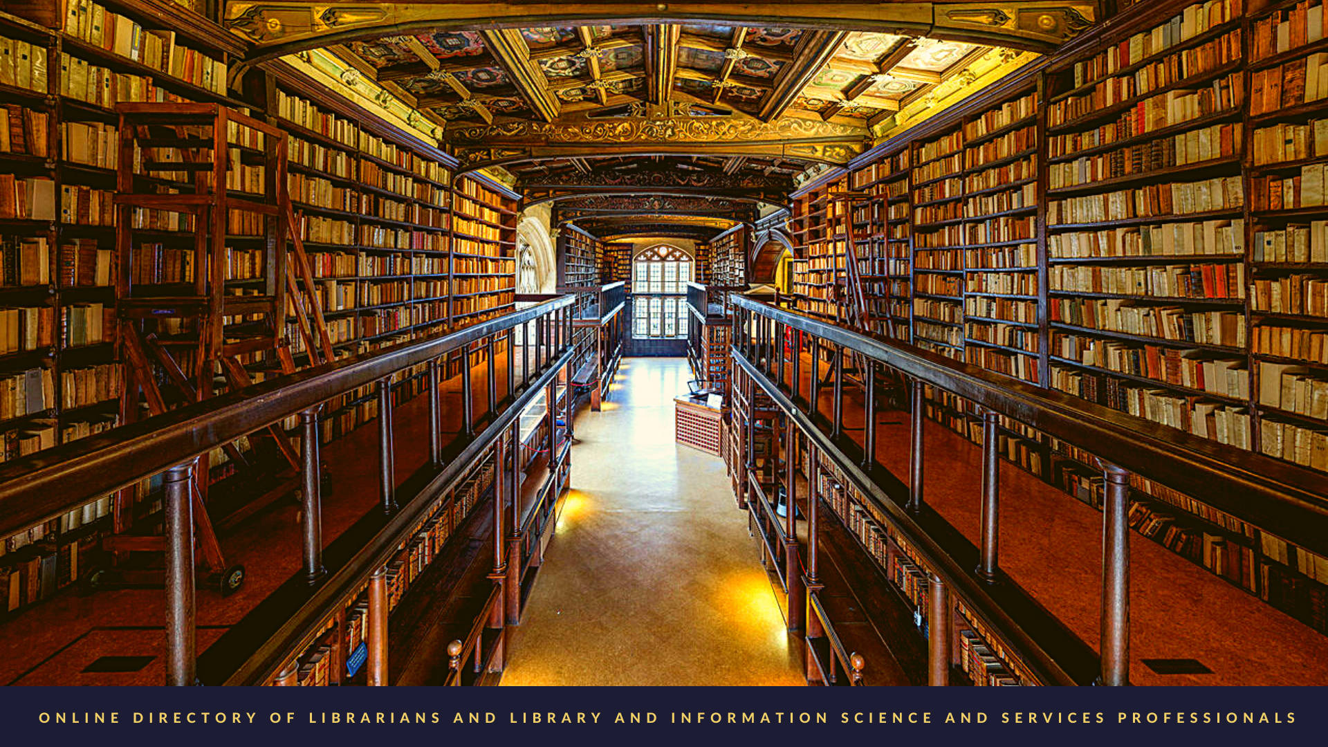 Library 桌布 壁紙 — 宏偉圖書館，高聳木書架裝滿舊書，上方有華麗金色天花板。