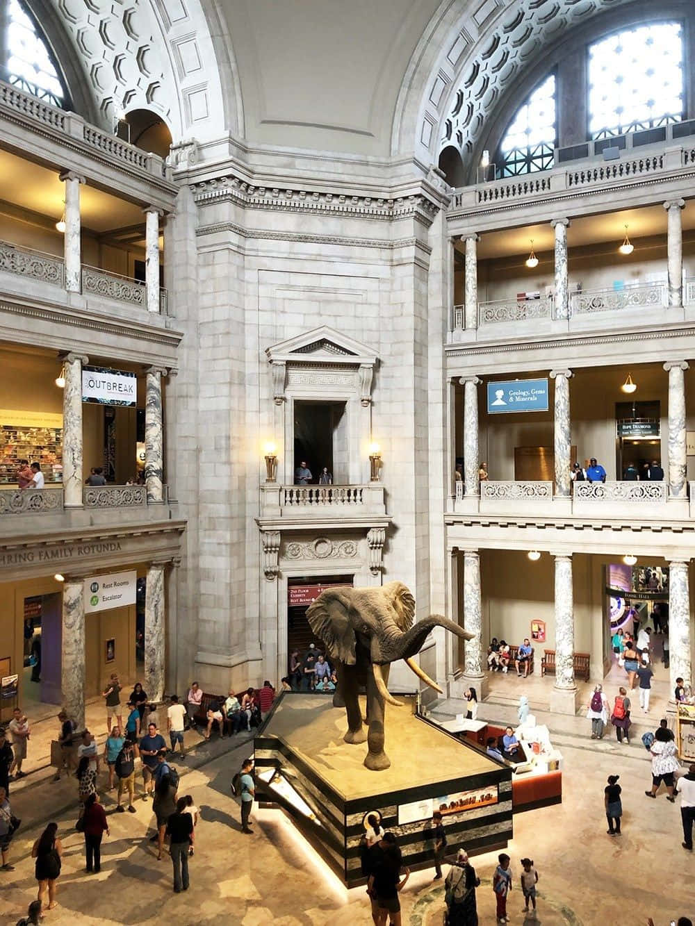 history 桌布 壁紙 — 宏偉的博物館中庭，高聳的柱子和巨大的大象展覽吸引下方的人群。