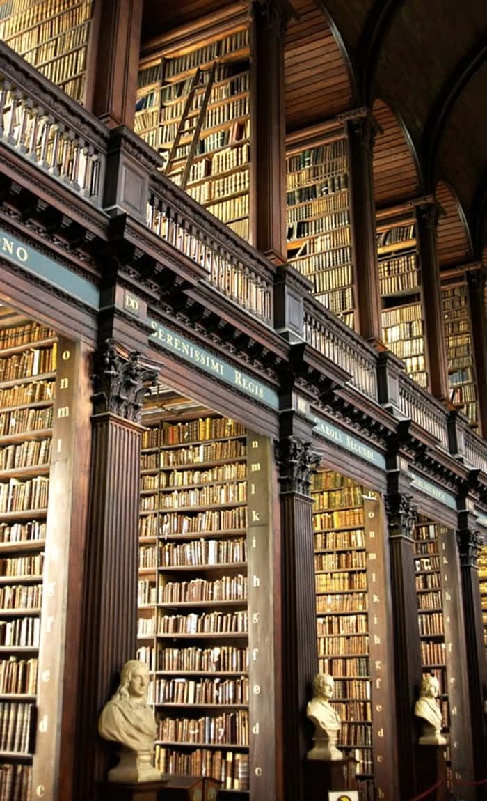 Library 桌布 壁紙 — 宏偉的圖書館，拱形天花板下設有高聳的木書架，裝滿了舊書和古典半身像。