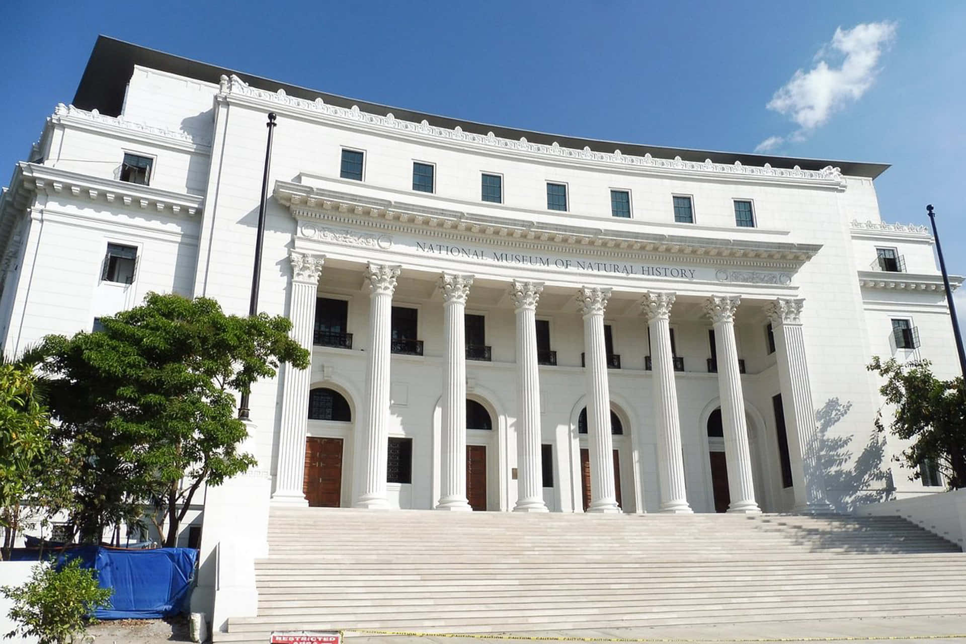 Museum 桌布 壁紙 — 宏偉的白色新古典主義博物館，擁有高大的柱子和寬闊的台階，在清澈的藍天下。