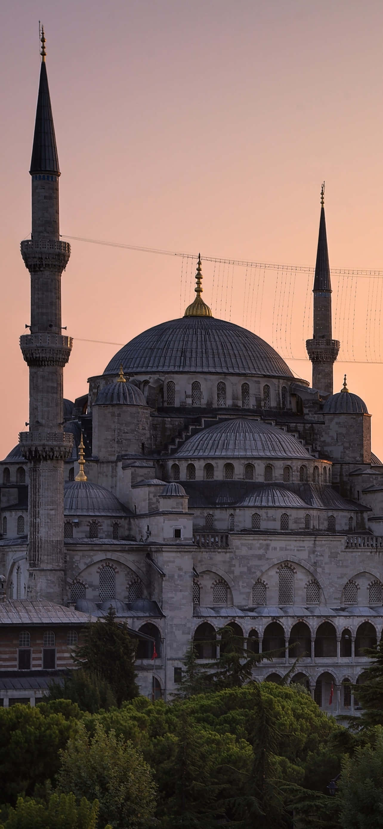 Istanbul 桌布 壁紙 — 宏偉的藍色清真寺，宣禮塔在柔和的粉紅色日落天空映襯下，剪影矗立在茂密的綠樹之上。