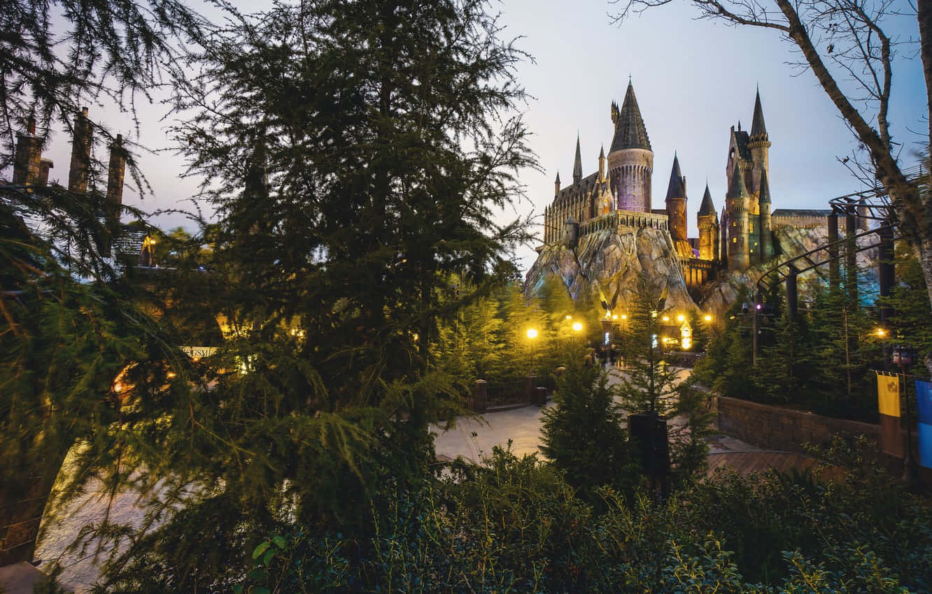 Hogwarts Desktop 桌布 壁紙 — 宏偉的霍格華茲城堡在黃昏時分被照亮，周圍環繞著高聳的常綠樹木和發光的小路燈光。