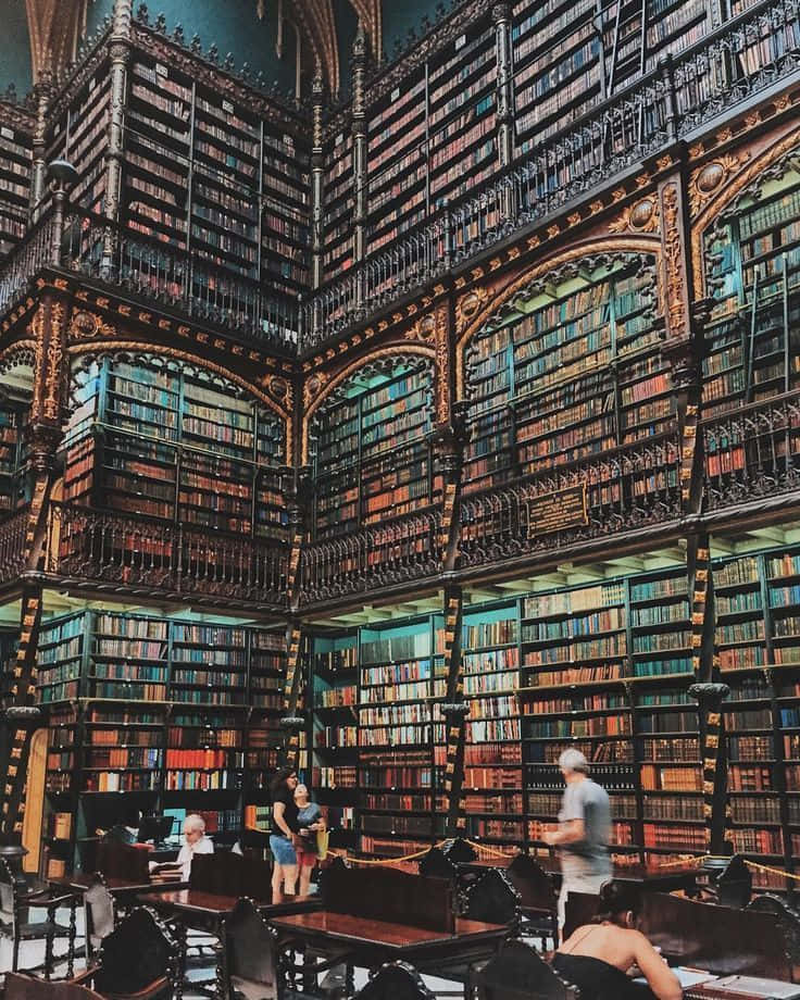 Library 桌布 壁紙 — 宏偉華麗的圖書館，擁有高聳的書架，讀者在溫暖的環境燈光下閱讀。