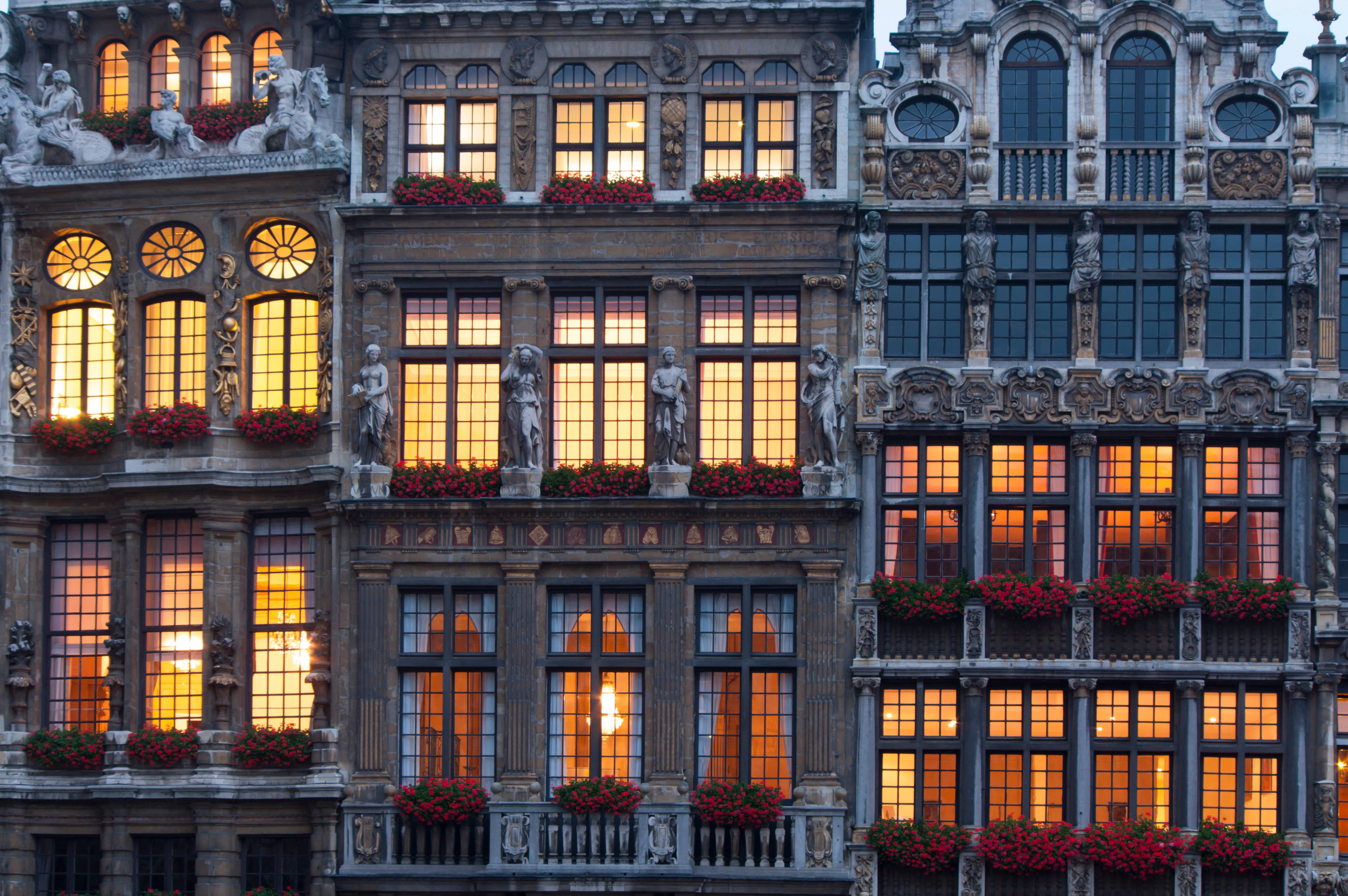 Belgium 桌布 壁紙 — 宏偉華麗的建築在黃昏時分，以金色燈光和窗台上鮮豔的紅花溫暖地閃耀。