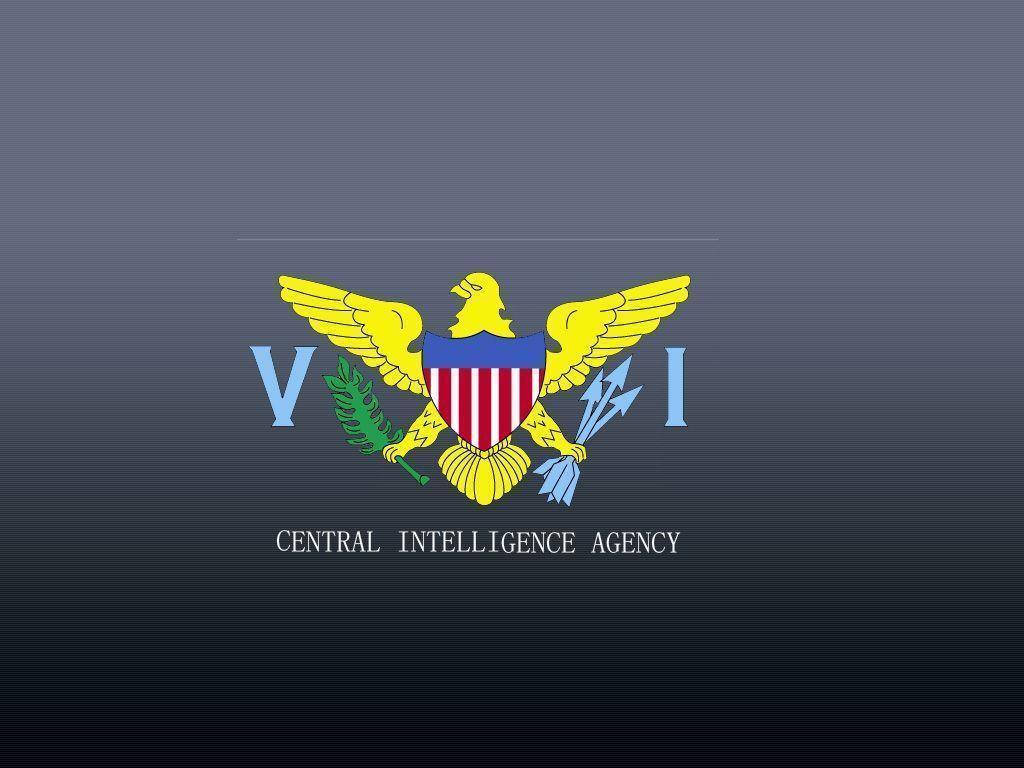 Cia 桌布 壁紙 — 官方CIA印章，金色老鷹在漸變灰色背景上持有橄欖枝和箭矢。