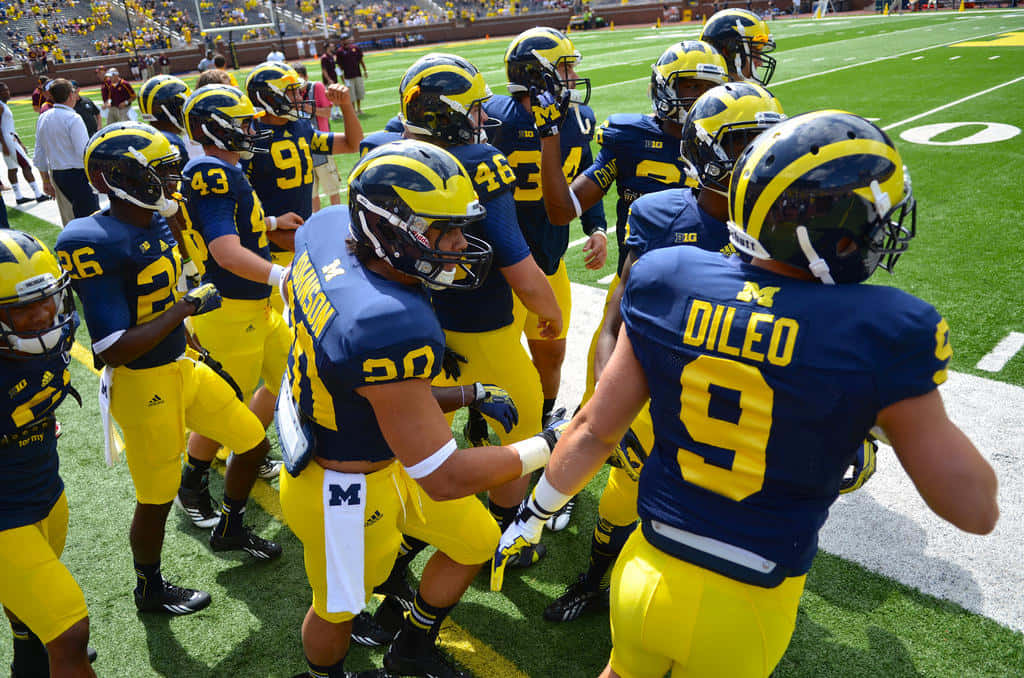 Michigan Football 桌布 壁紙 — 密西根狼獾隊的足球員身穿藍黃色球衣，在陽光明媚的綠色球場上圍成一圈。