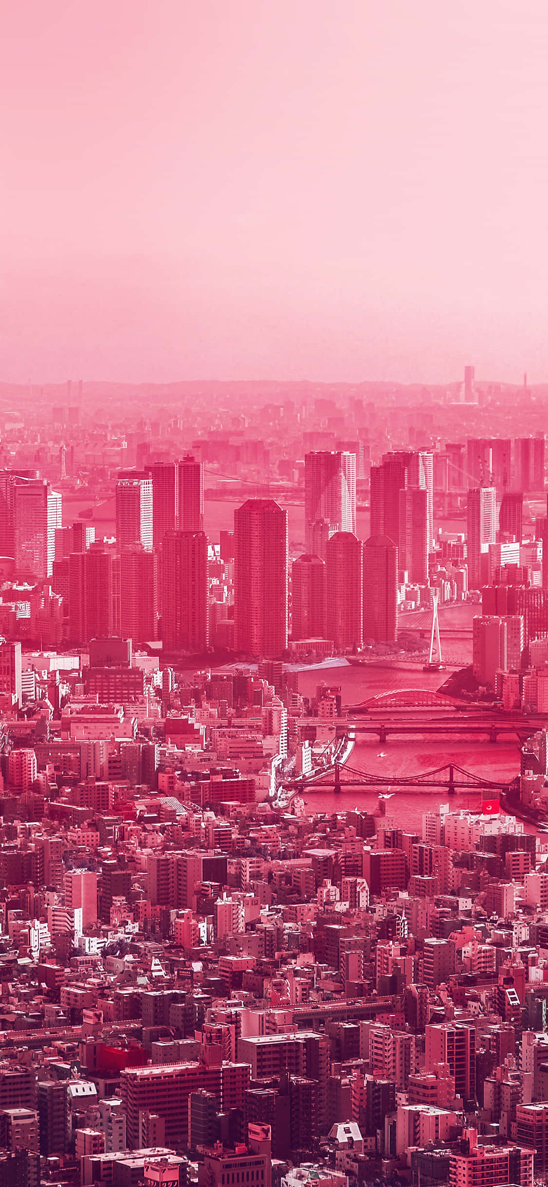 Pink City 桌布 壁紙 — 密集城市景觀的鳥瞰圖，摩天大樓和橋樑沐浴在超現實的粉紅色光芒中。