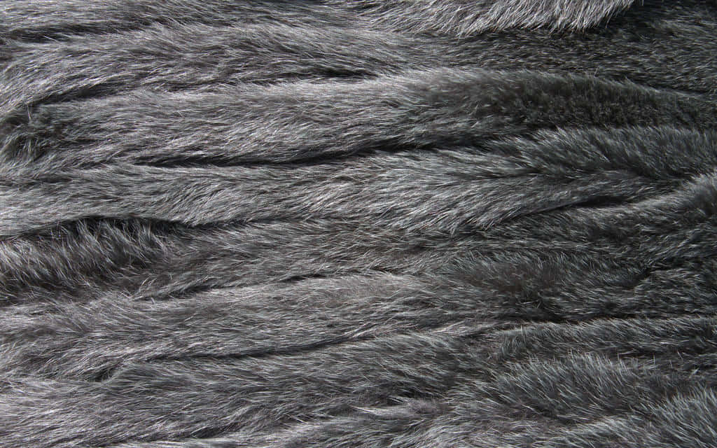 Animal Fur 桌布 壁紙 — 密集灰色人造毛皮的近距離特寫，柔軟有紋理的纖維和自然褶皺營造出觸感表面。