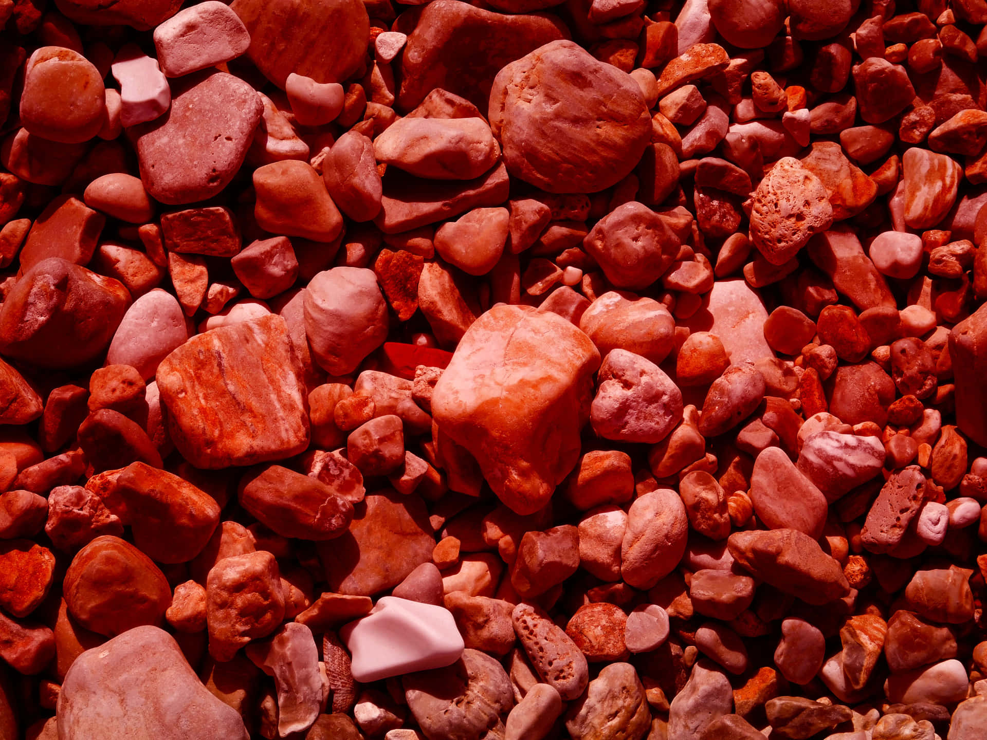 Red stone texture 壁紙 — 密集特寫鏡頭，呈現各種紅色和粉紅色河石，質地光滑，形狀自然不規則。