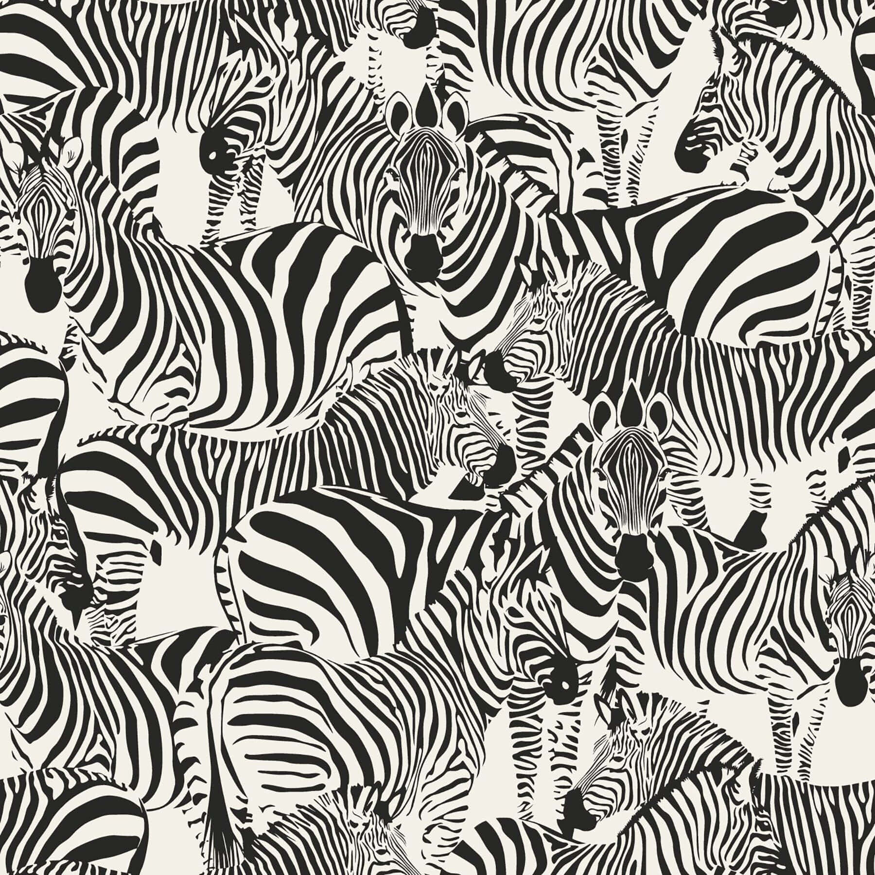 Black And White Animal Print 桌布 壁紙 — 密集的斑馬圖案，黑白風格，粗線條重疊，形成重複的壁紙設計。