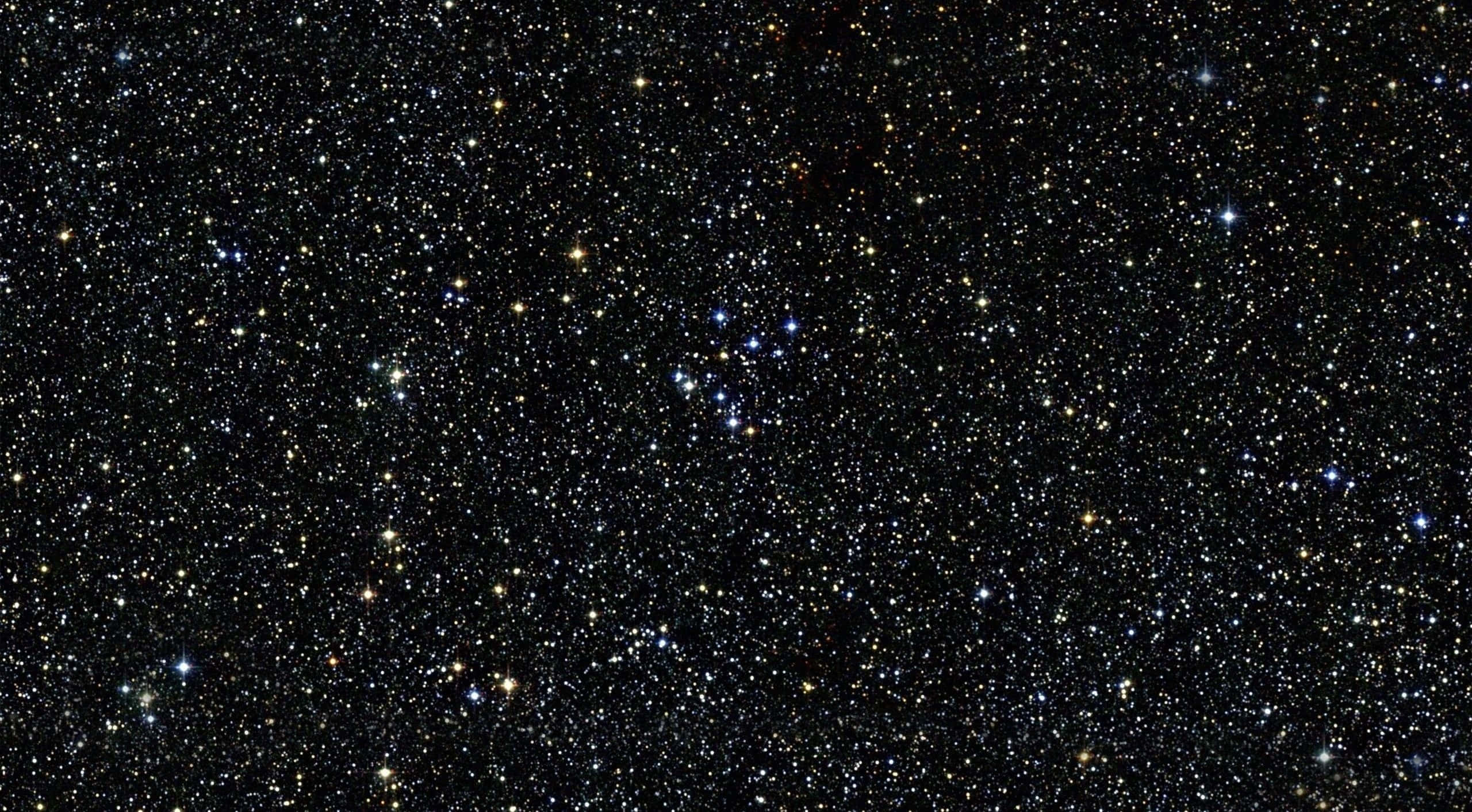 Black Galaxy 桌布 壁紙 — 密集的星場在深邃的太空黑暗中閃爍，散佈著藍色和黃色的光點。