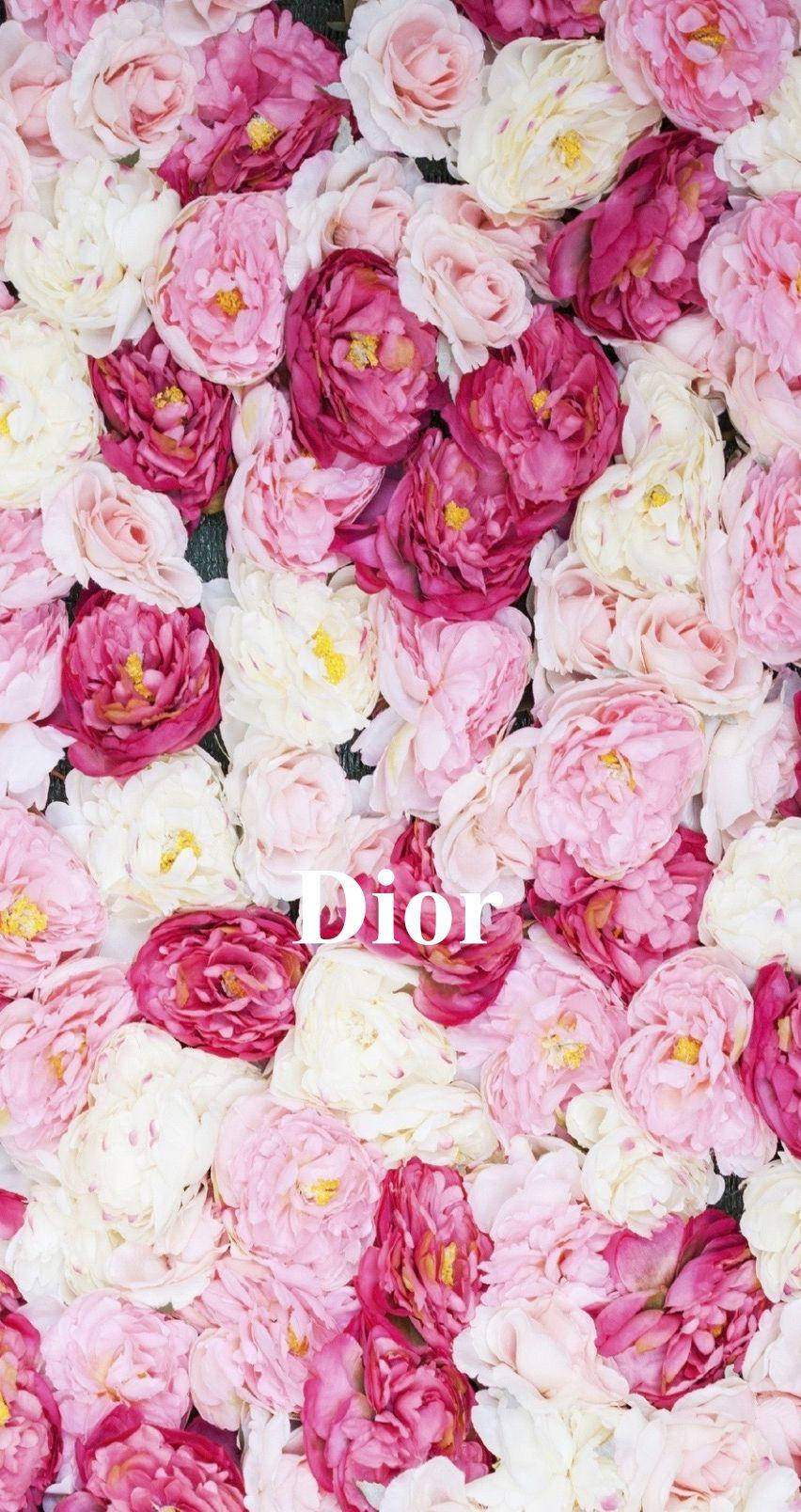 Dior 動態 桌布 壁紙 — 密集的粉紅和白色玫瑰牆，帶有黃色花心，中央有白色Dior標誌。