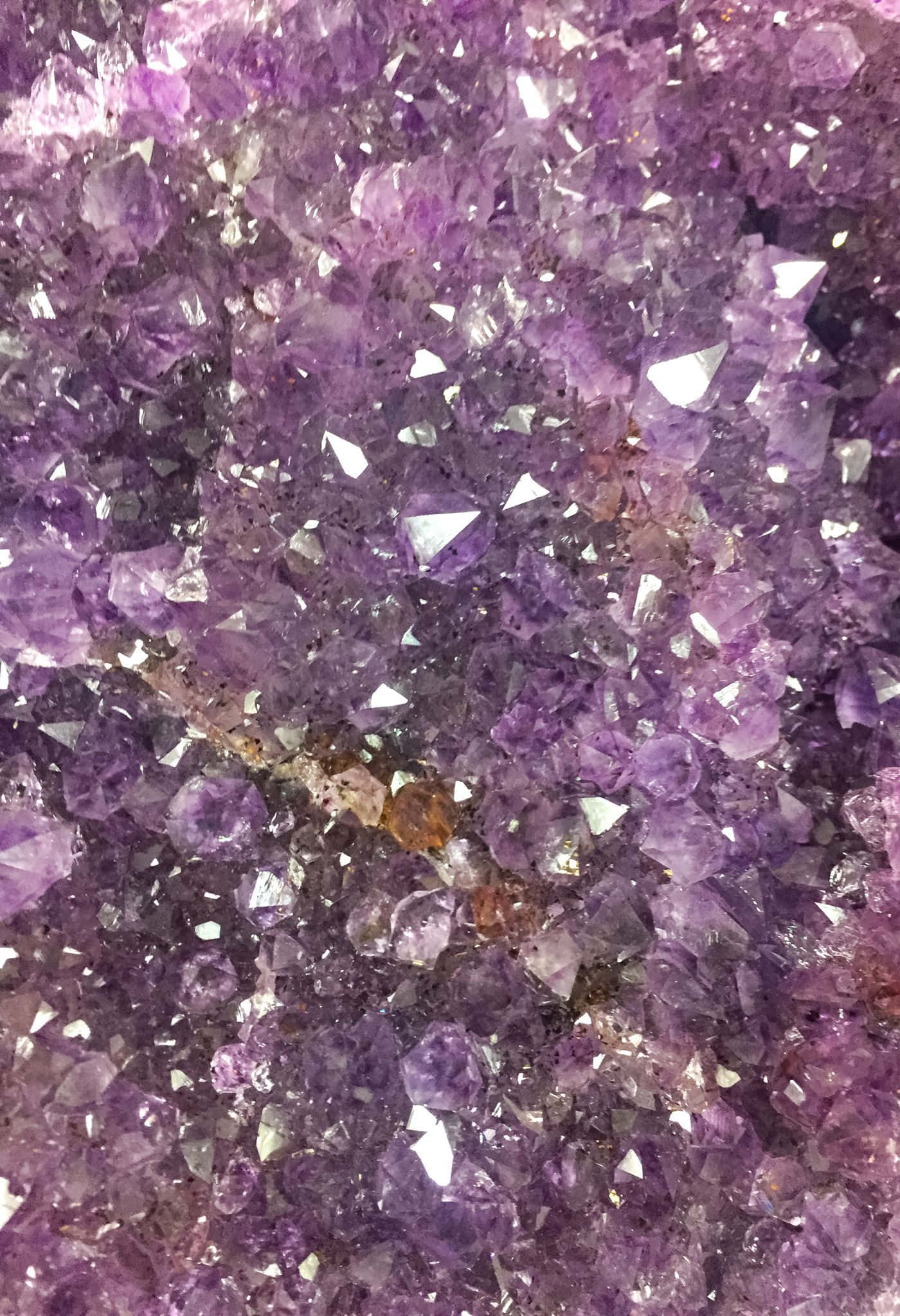 紫水晶 桌布 壁紙 — 密集的紫色紫水晶晶體簇，具有鋒利的刻面和泥土內含物。