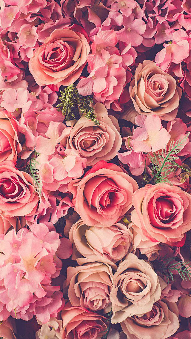 rose aesthetic phone 桌布 壁紙 — 密集的花卉佈置，有粉紅玫瑰和繡球花，配以柔和的綠色，營造出浪漫和茂盛的視覺質感。