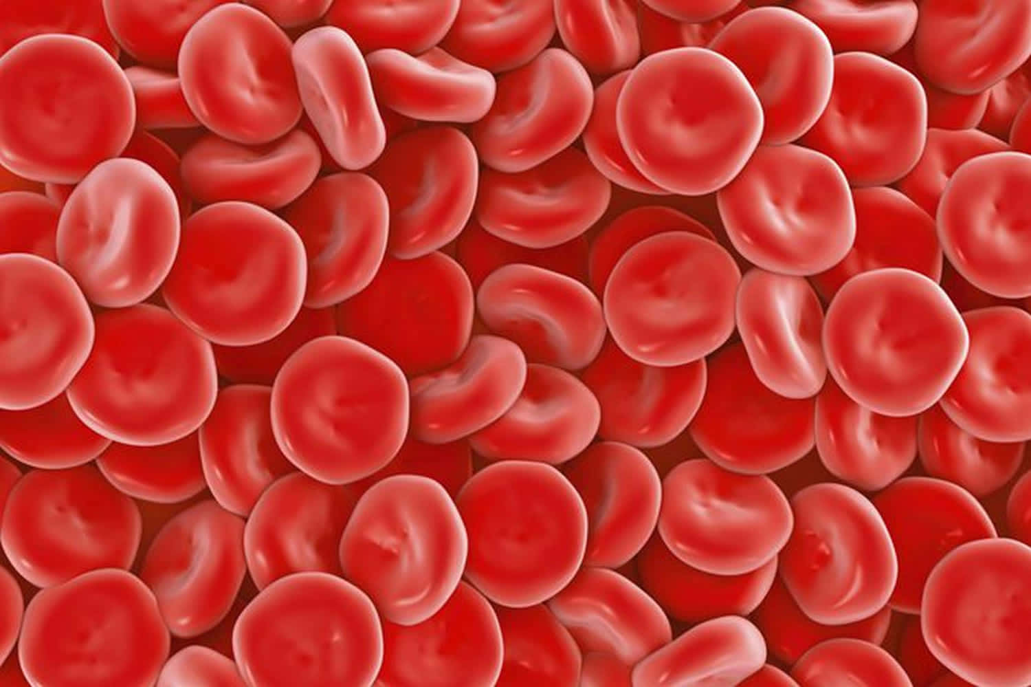 Red Blood Cells 桌布 壁紙 — 密集的鮮紅色血細胞，表面有光澤，陰影細緻，形成生物紋理。