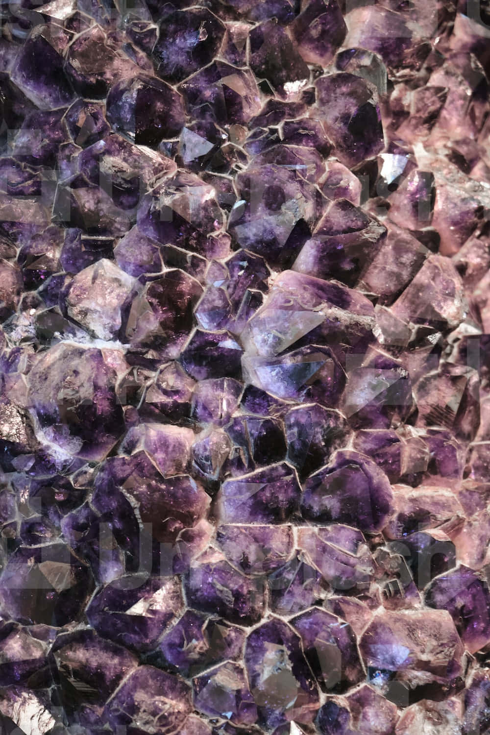 Gem Stone 桌布 壁紙 — 密集紫水晶晶體的近距離特寫，散發深紫色調和銳利的幾何切面光芒。