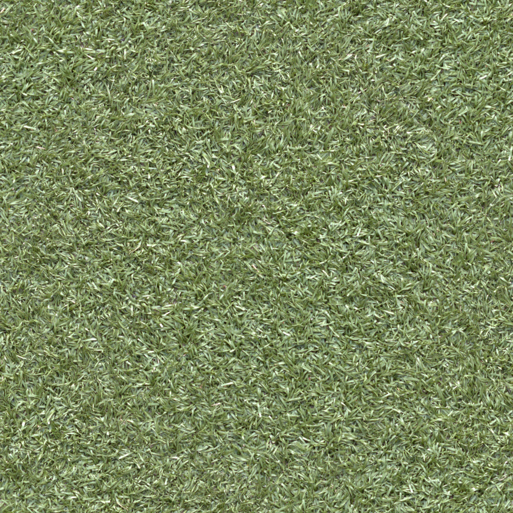 Green Texture 桌布 壁紙 — 密集綠色草葉的特寫，陰影和紋理有細微變化。