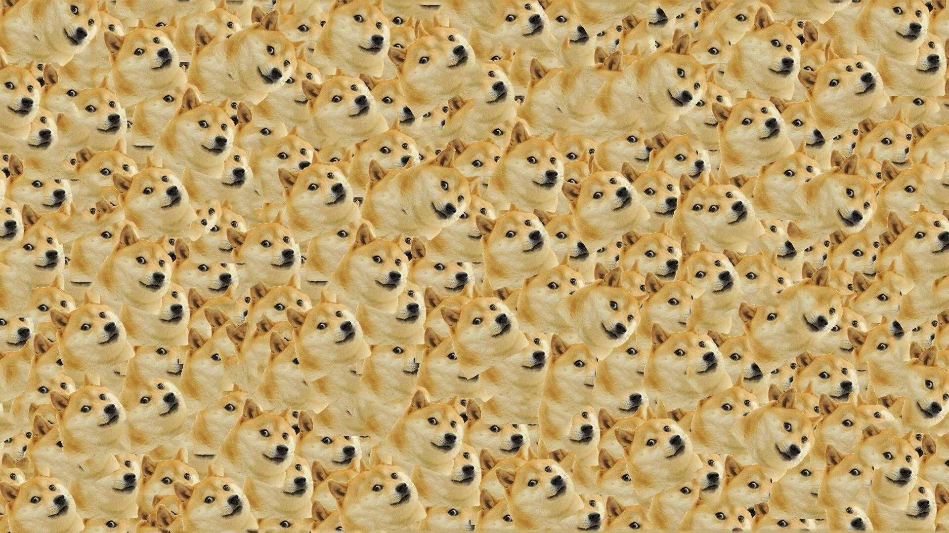 meme 桌布 壁紙 — 密集重複的柴犬狗臉圖案，帶有自鳴得意的表情，採用溫暖的金色色調。