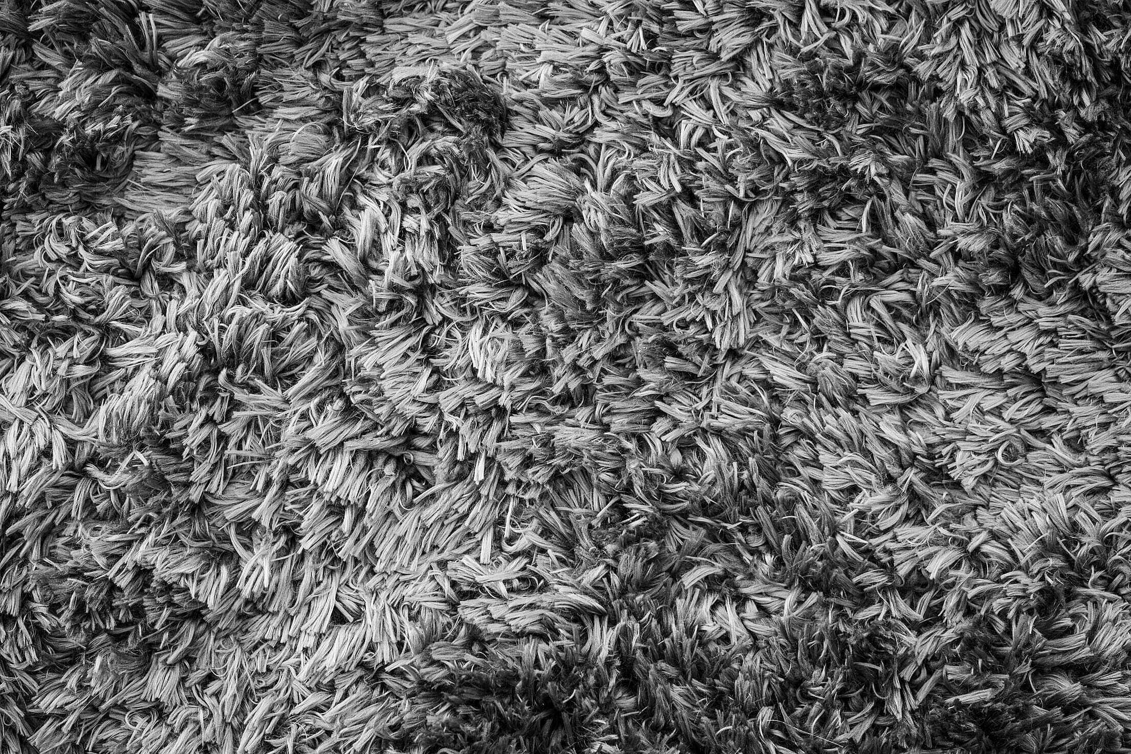 Black And White Texture 桌布 壁紙 — 密集長毛地毯纖維的特寫單色紋理，具有多種灰色調和柔和陰影。
