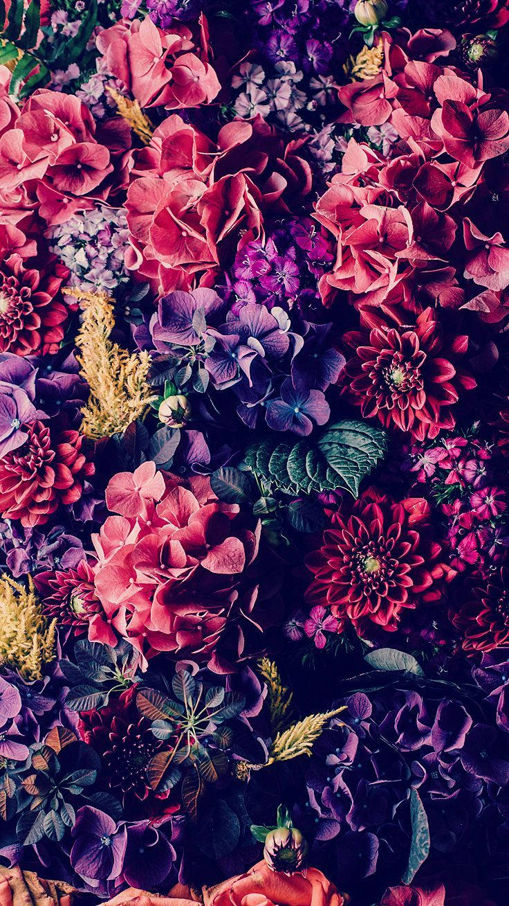 Pinterest 桌布 壁紙 — 密集鮮豔的花卉佈置，粉紅、紫和紅色的花朵，深綠色葉子和金色點綴。