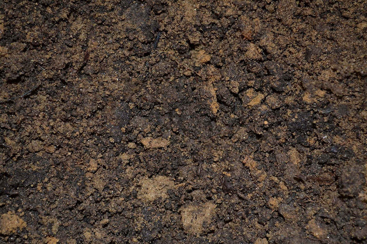 Dirt 桌布 壁紙 — 富含深棕色土壤的特寫，散落著有機碎屑，質地多樣。
