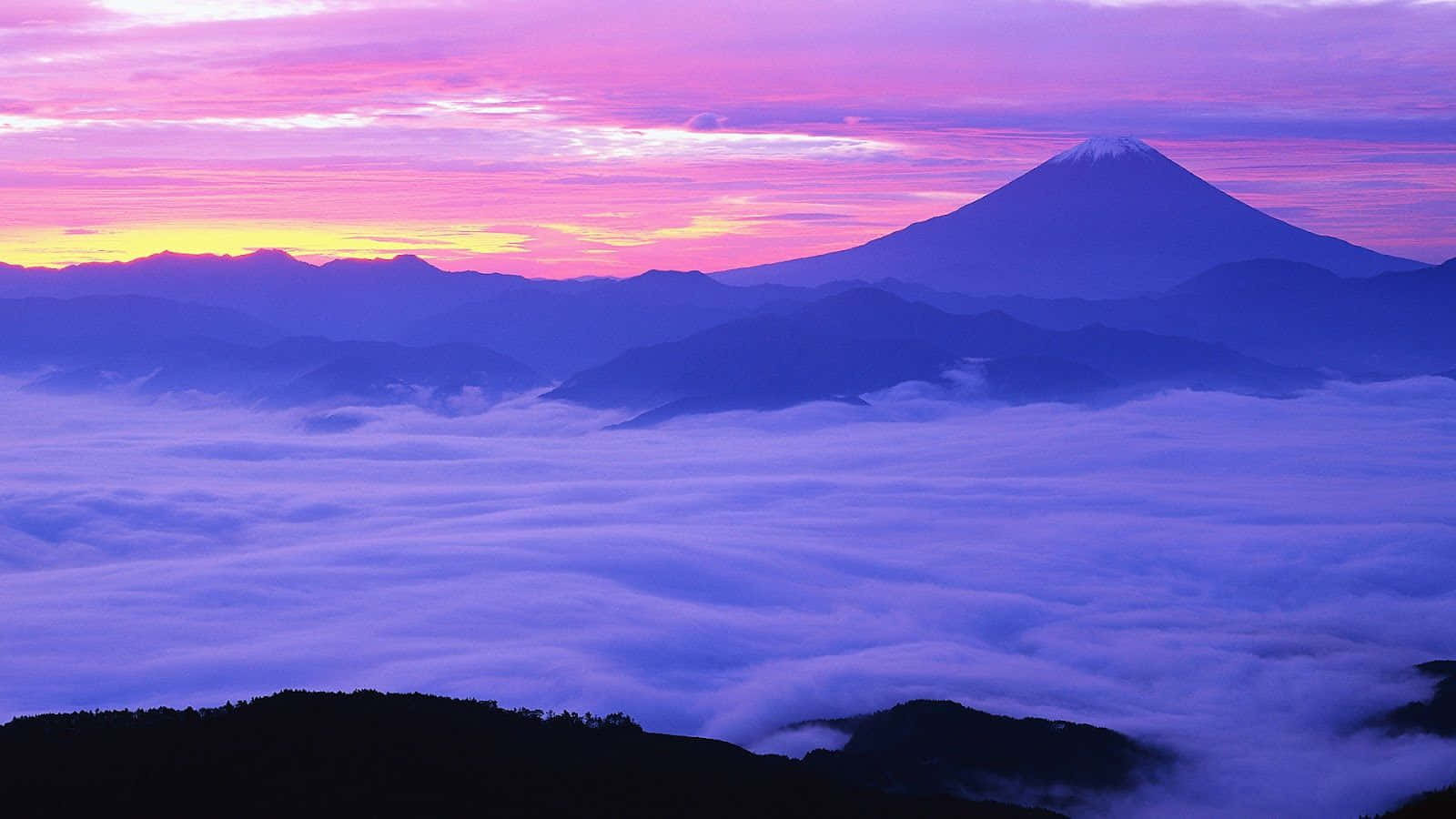日本 桌布 壁紙 — 富士山在黎明時分雄偉地聳立在雲海之上，天空染上充滿活力的粉紅色和紫色色調。
