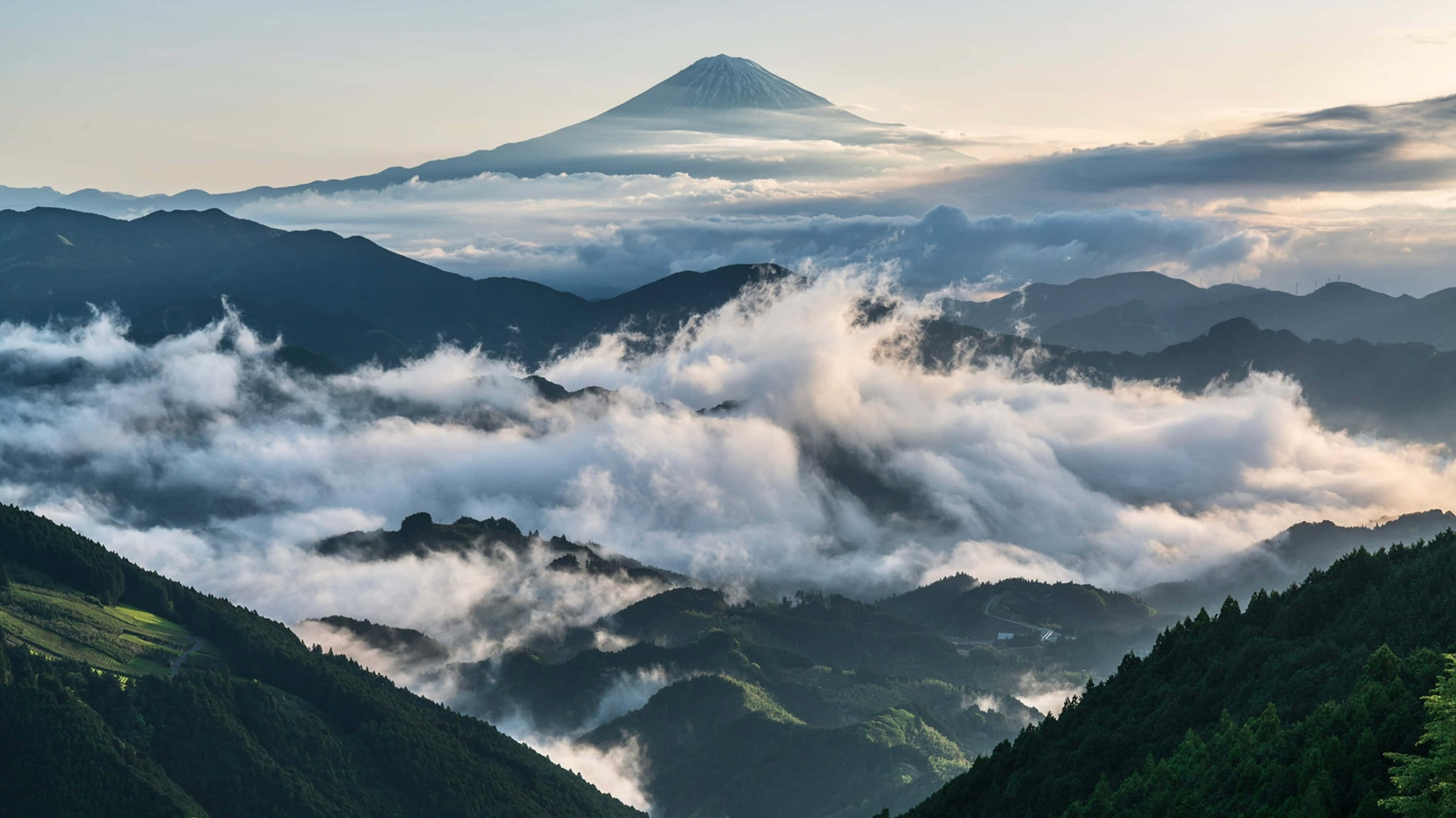 Mountain View 桌布 壁紙 — 富士山雄偉地聳立在雲海之上，陽光照射的山峰和下方森林覆蓋的山坡。