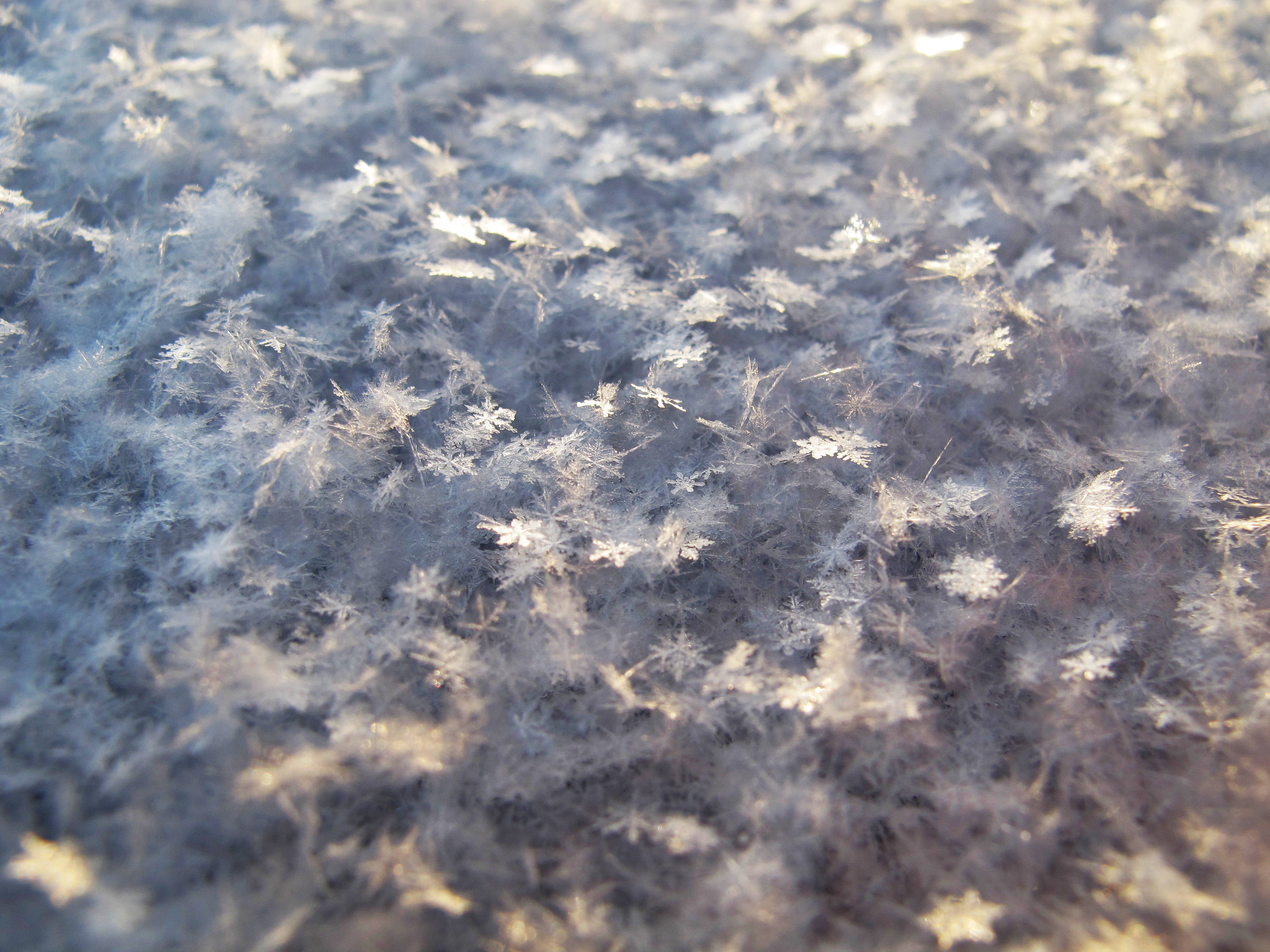 雪花 桌布 壁紙 — 寒冷表面上複雜霜晶的特寫，閃爍著柔和的金色光芒。