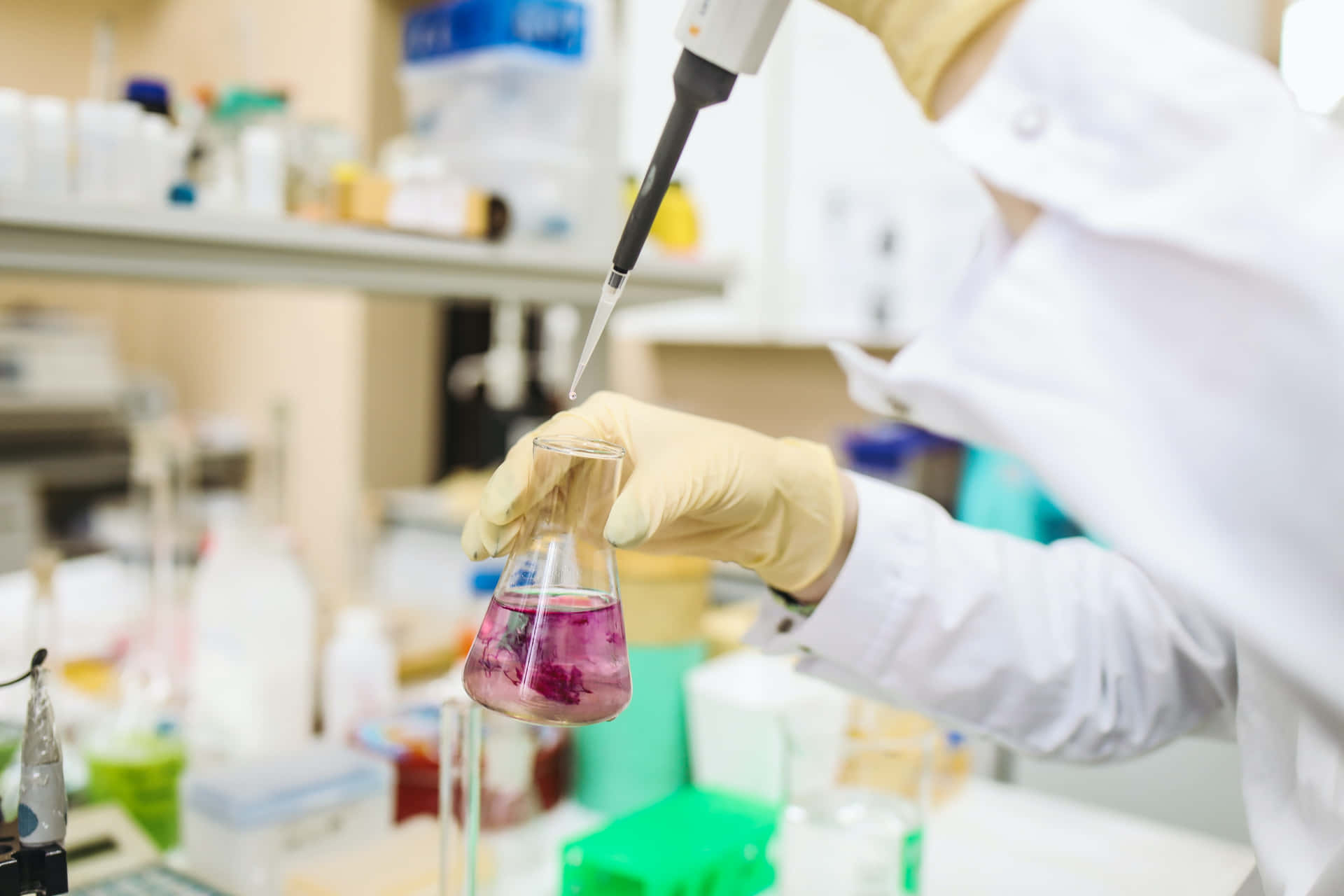 科學 桌布 壁紙 — 實驗室中，一位科學家正用移液管小心地將鮮豔的紫色液體轉移到錐形瓶中。