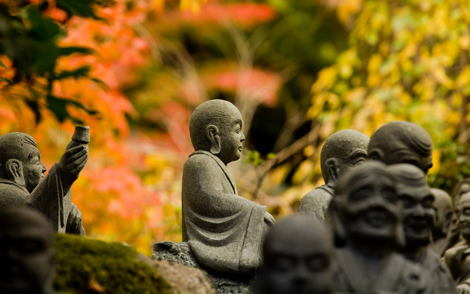 佛陀 桌布 壁紙 — 寧靜僧侶的石像坐在秋葉中，背景有鮮豔的紅色和金色葉子模糊。