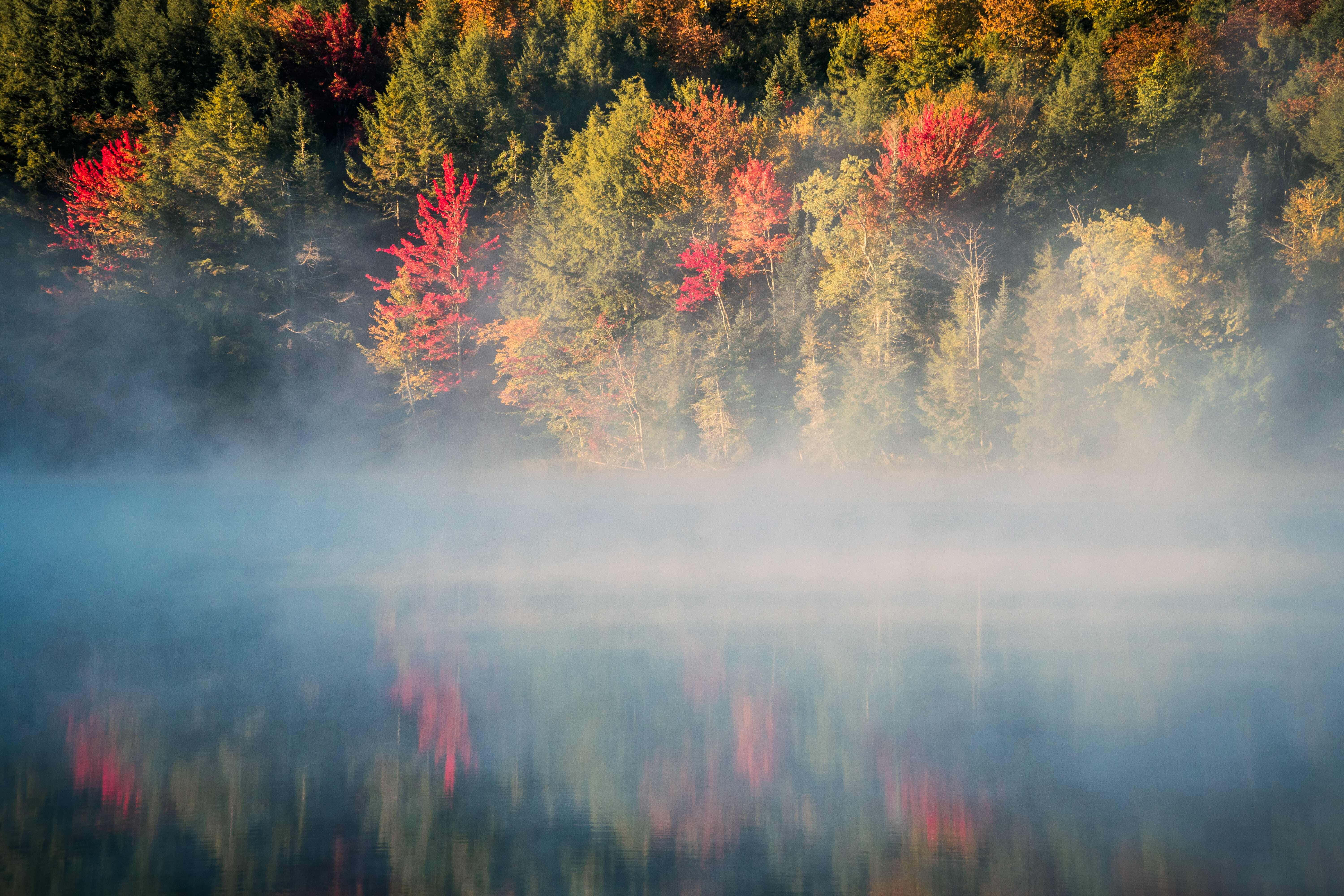 Fall Fog 桌布 壁紙 — 寧靜湖面上，霧氣瀰漫的秋晨，鮮紅與橙黃的樹木倒映在水中。