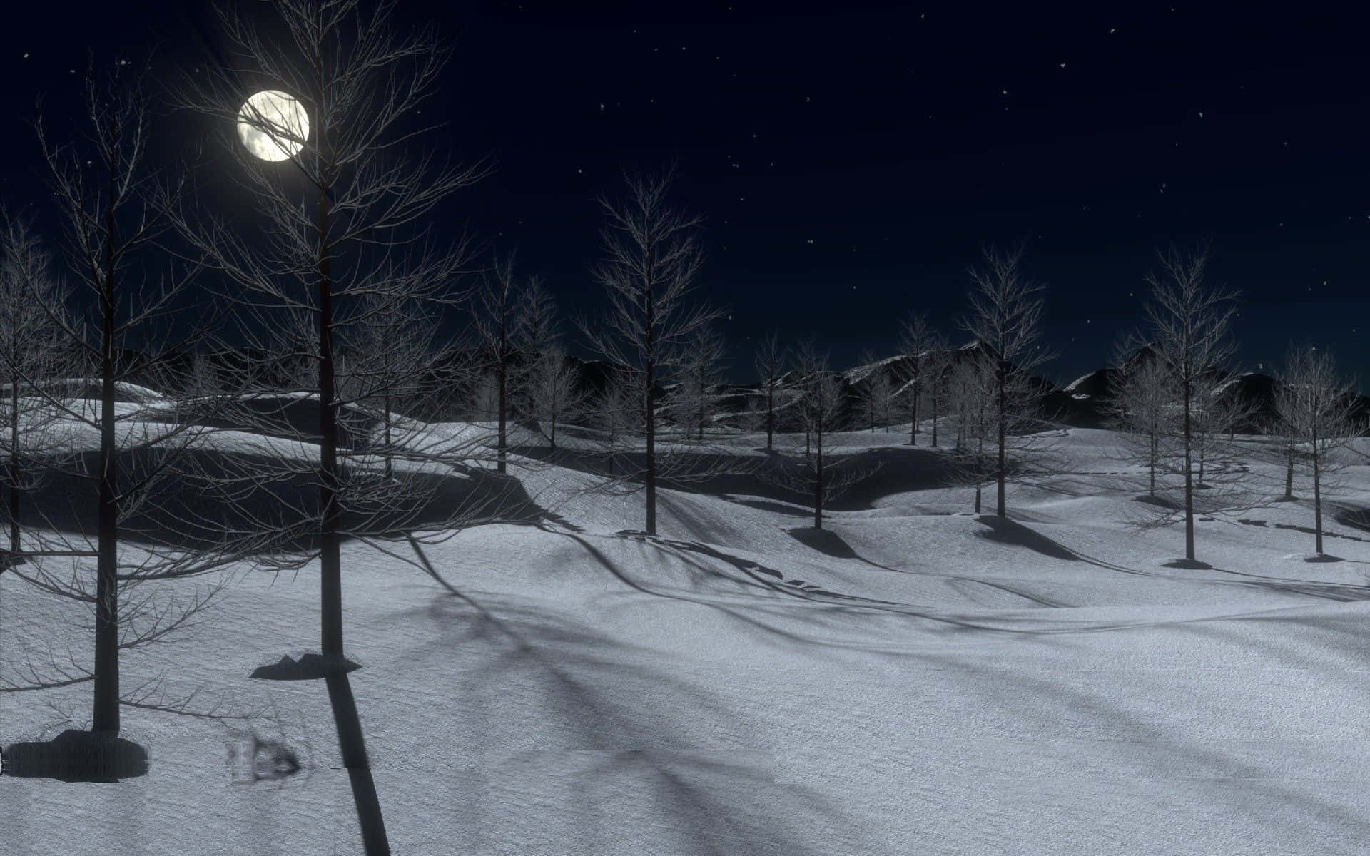 夜空 桌布 壁紙 — 寧靜的冬夜場景，雪覆蓋的地面，光禿的樹木，滿月在星空下投下長長的影子。