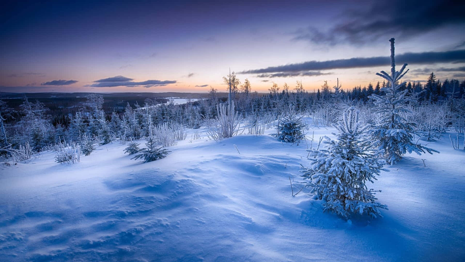  壁紙 — 寧靜的冬季暮色景觀，白雪覆蓋的樹木和起伏的山丘，在紫色和橙色的天空下。