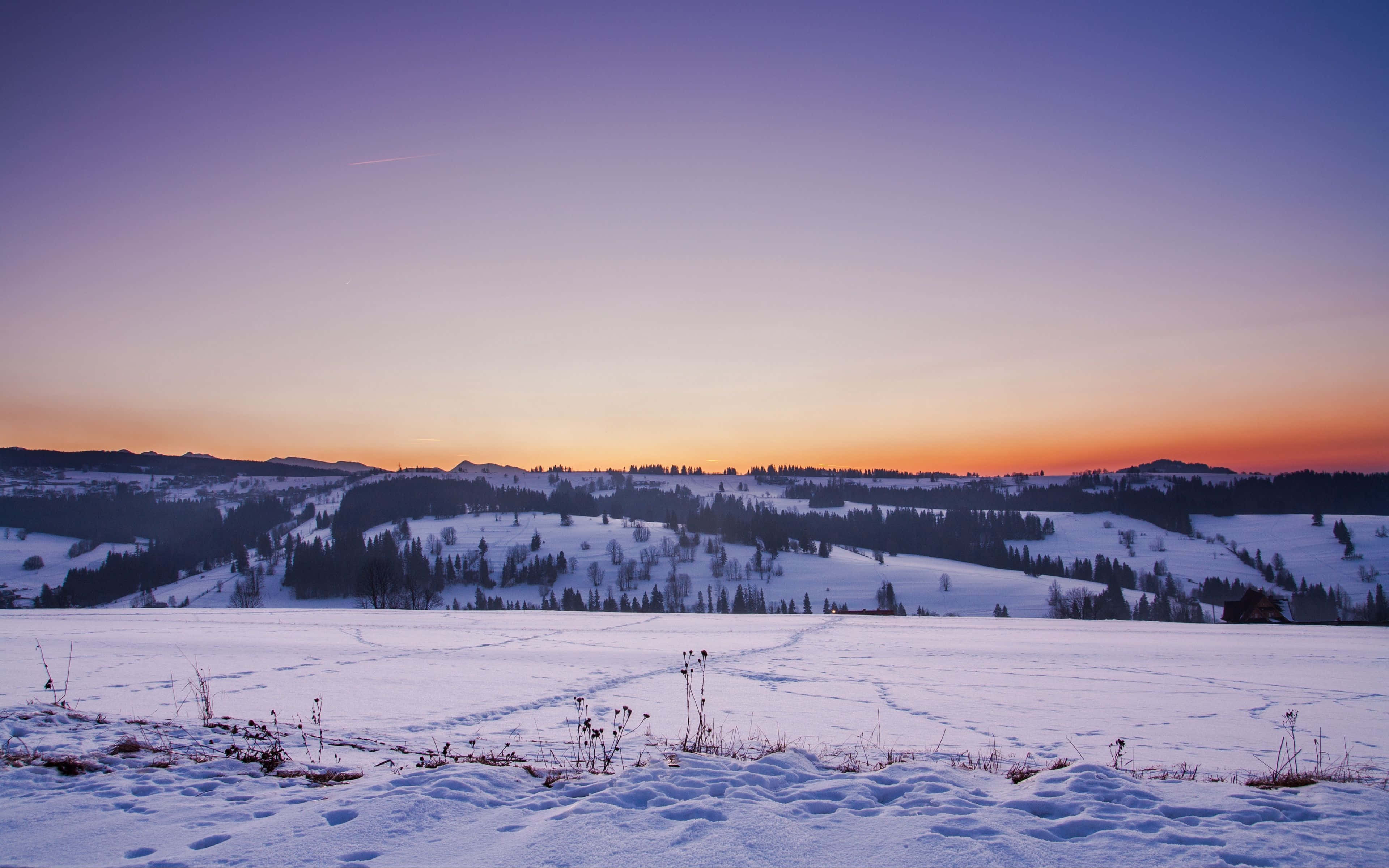 Winter Sunset 桌布 壁紙 — 寧靜的冬日夕陽將白雪覆蓋的山丘染成紫色、橙色和金色，霜凍的草叢矗立在前景中。