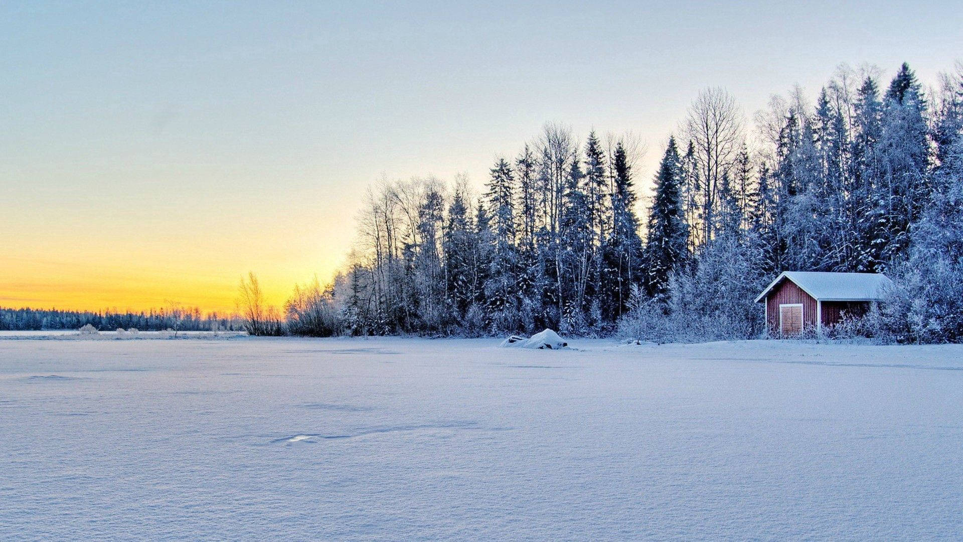 雪 桌布 壁紙 — 寧靜的冬日夕陽將金色光芒灑在白雪覆蓋的田野上，一座紅色小屋坐落在霜凍的樹木之間。