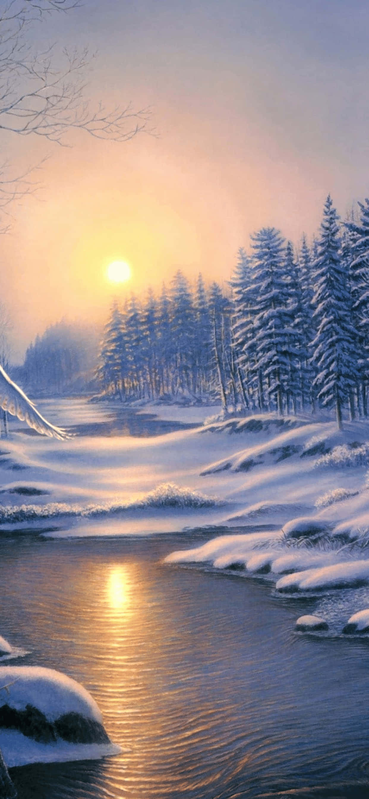 Painting 桌布 壁紙 — 寧靜的冬日日出將金色的光芒灑在一條蜿蜒穿過常綠樹林的積雪河流上。