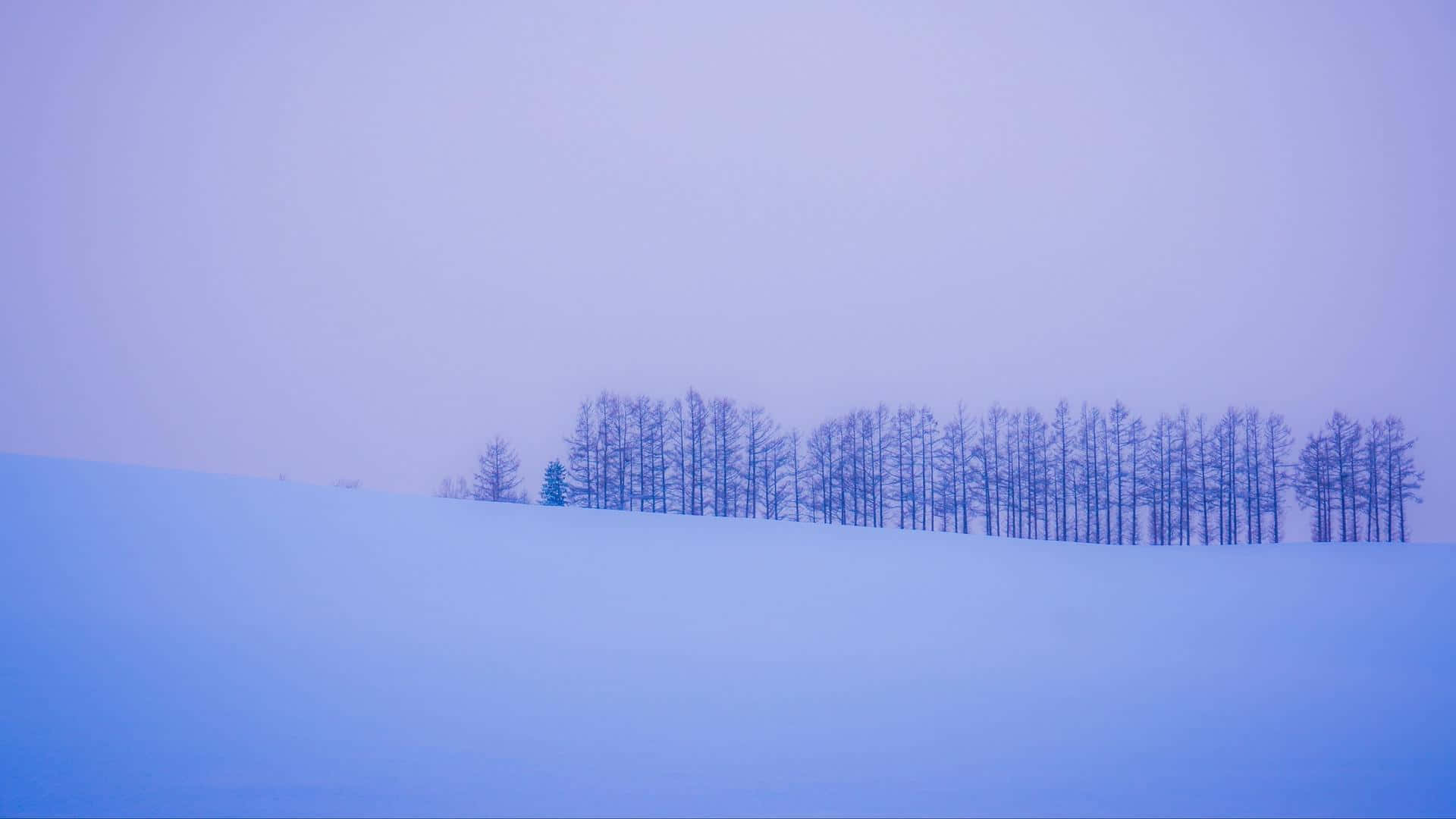 桌布 壁紙 — 寧靜的冬日景象，一排光禿禿的樹木矗立在白雪覆蓋的山丘上，天空呈現柔和的紫色。