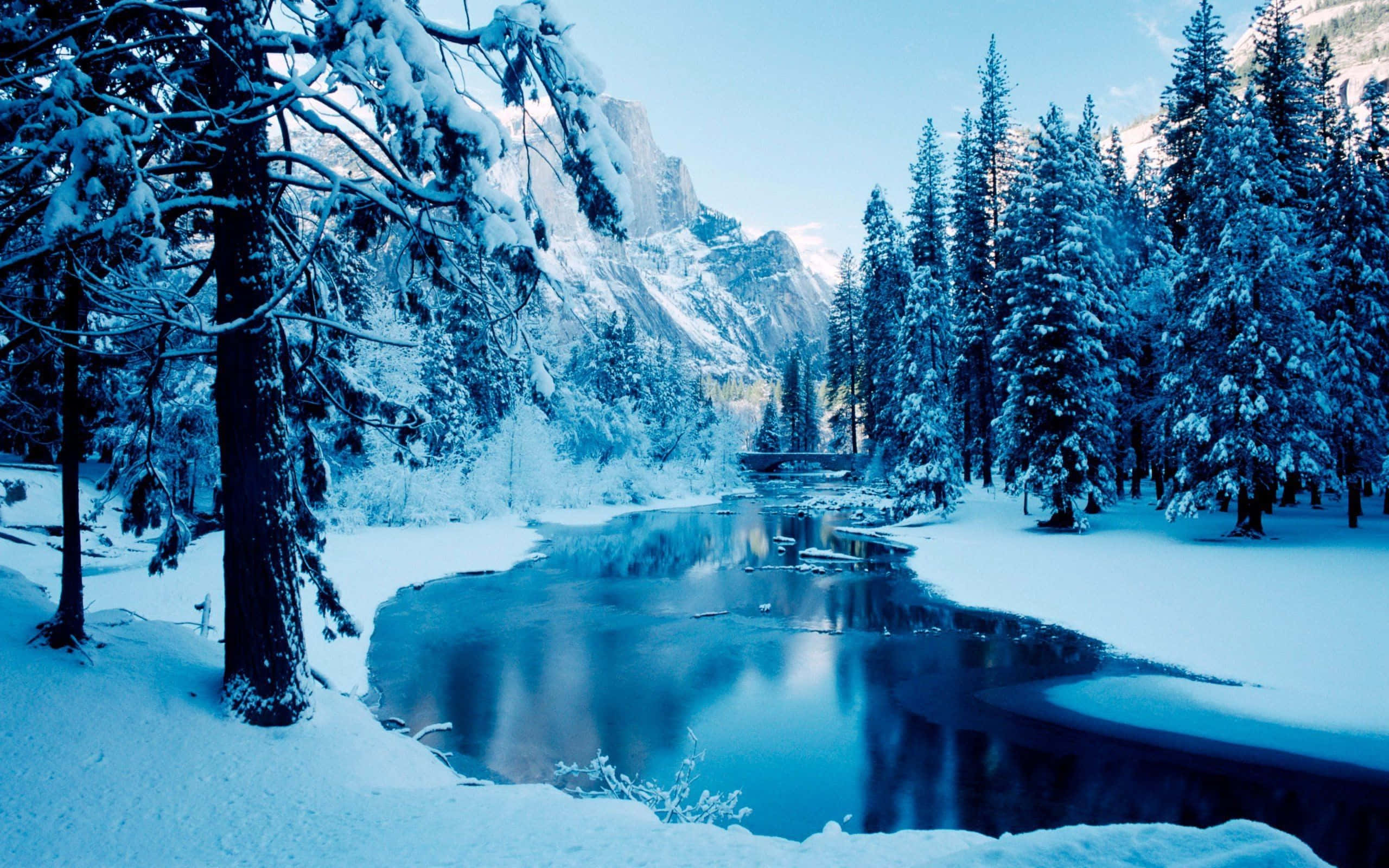 Winter Scene 桌布 壁紙 — 寧靜的冬日景象，白雪覆蓋的松樹和一條平靜的河流，在晴朗的天空下倒映著高聳的藍色山脈。
