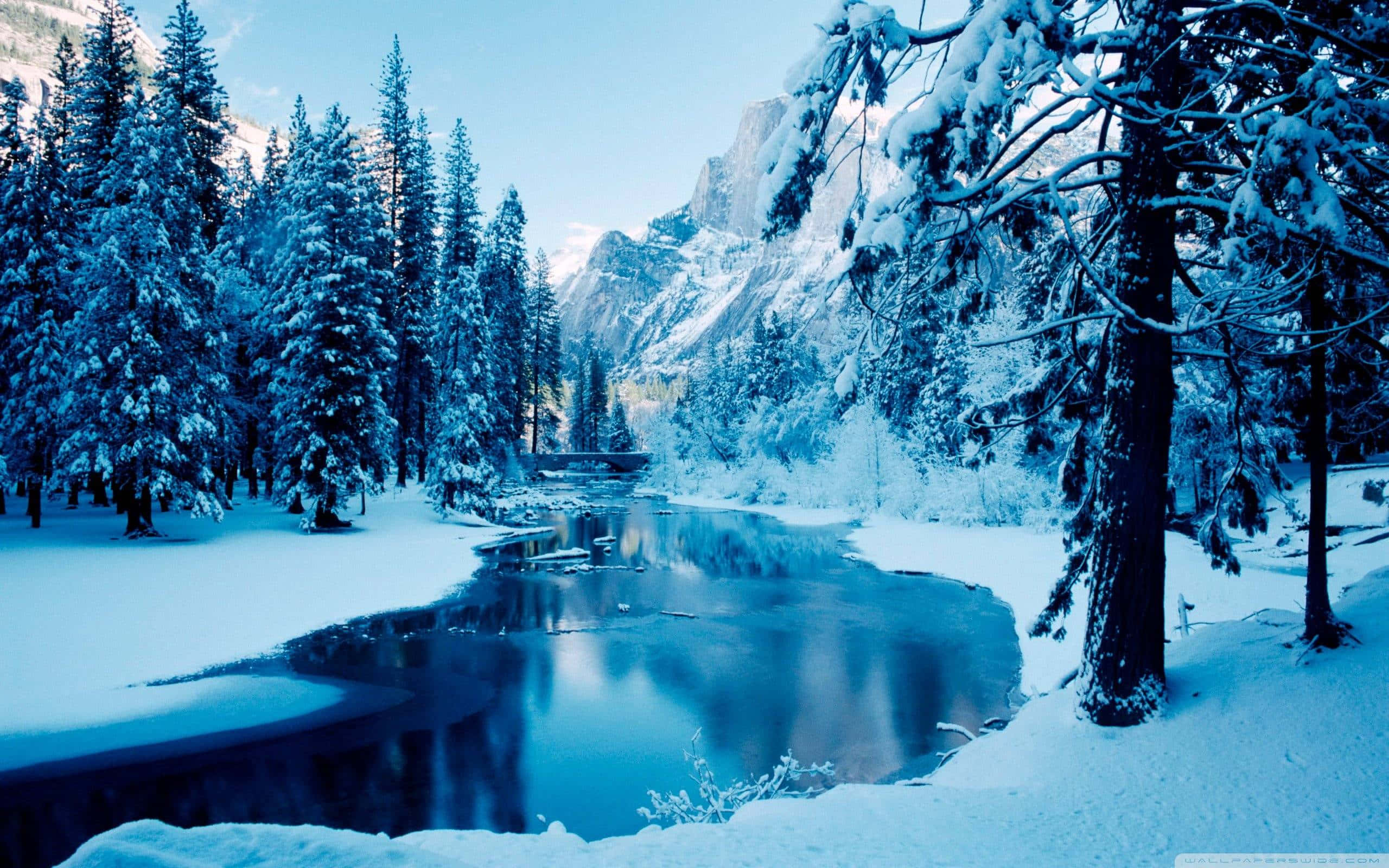 Cool Landscape 桌布 壁紙 — 寧靜的冬日景象，白雪覆蓋的松樹排列在平靜的河邊，在晴朗的天空下映照出藍色的山脈。