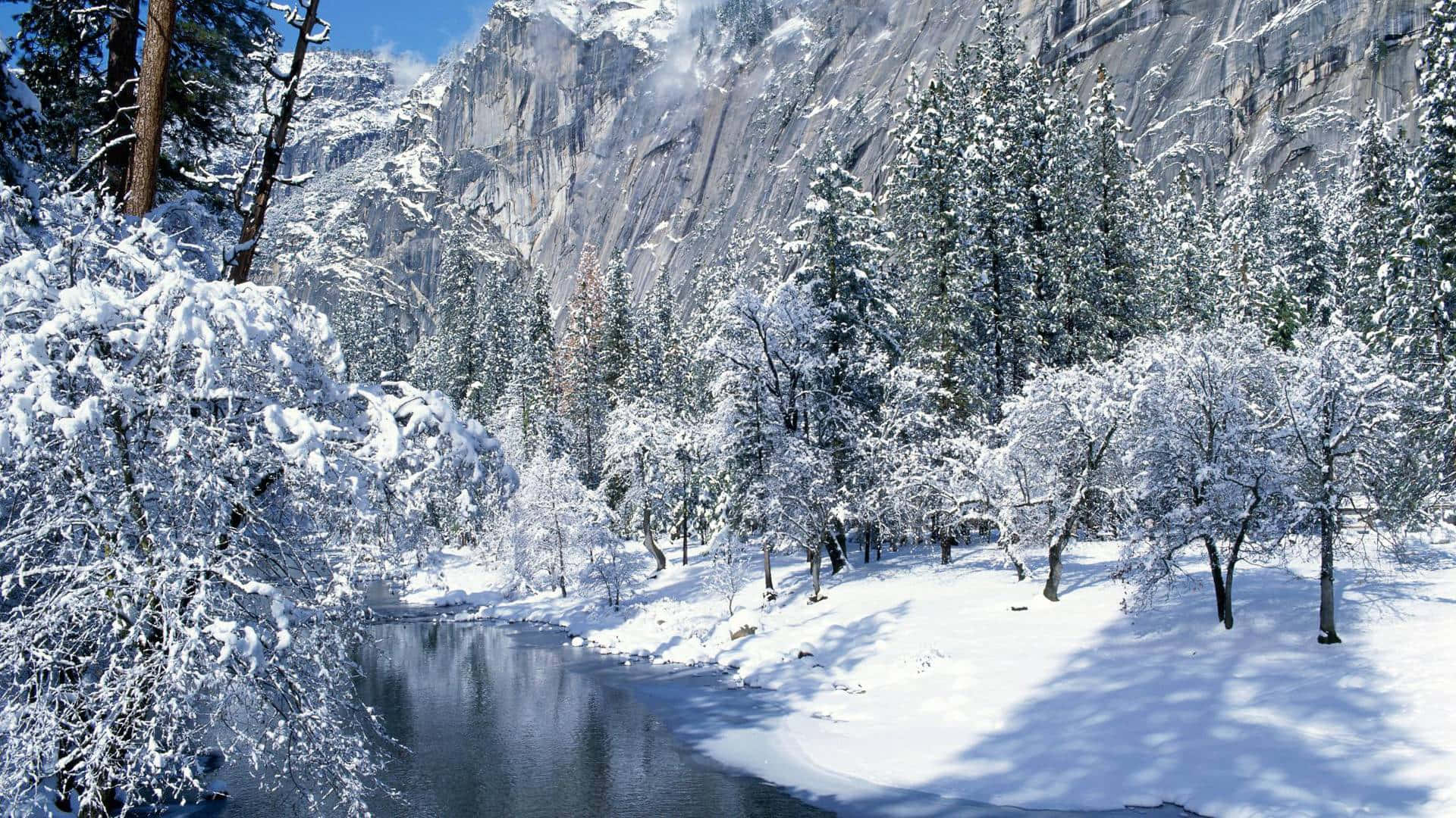 Creek 桌布 壁紙 — 寧靜的冬日景象，白雪覆蓋的樹木沿著平靜的河流排列，背後是高聳的花崗岩懸崖，上方是清澈的藍天。