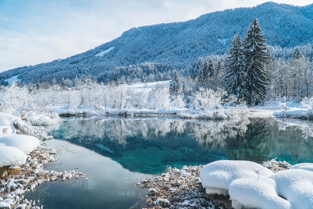 Winter 桌布 壁紙 — 寧靜的冬日景象，碧綠的湖面倒映著白雪覆蓋的松樹和山脈，天空清澈湛藍。