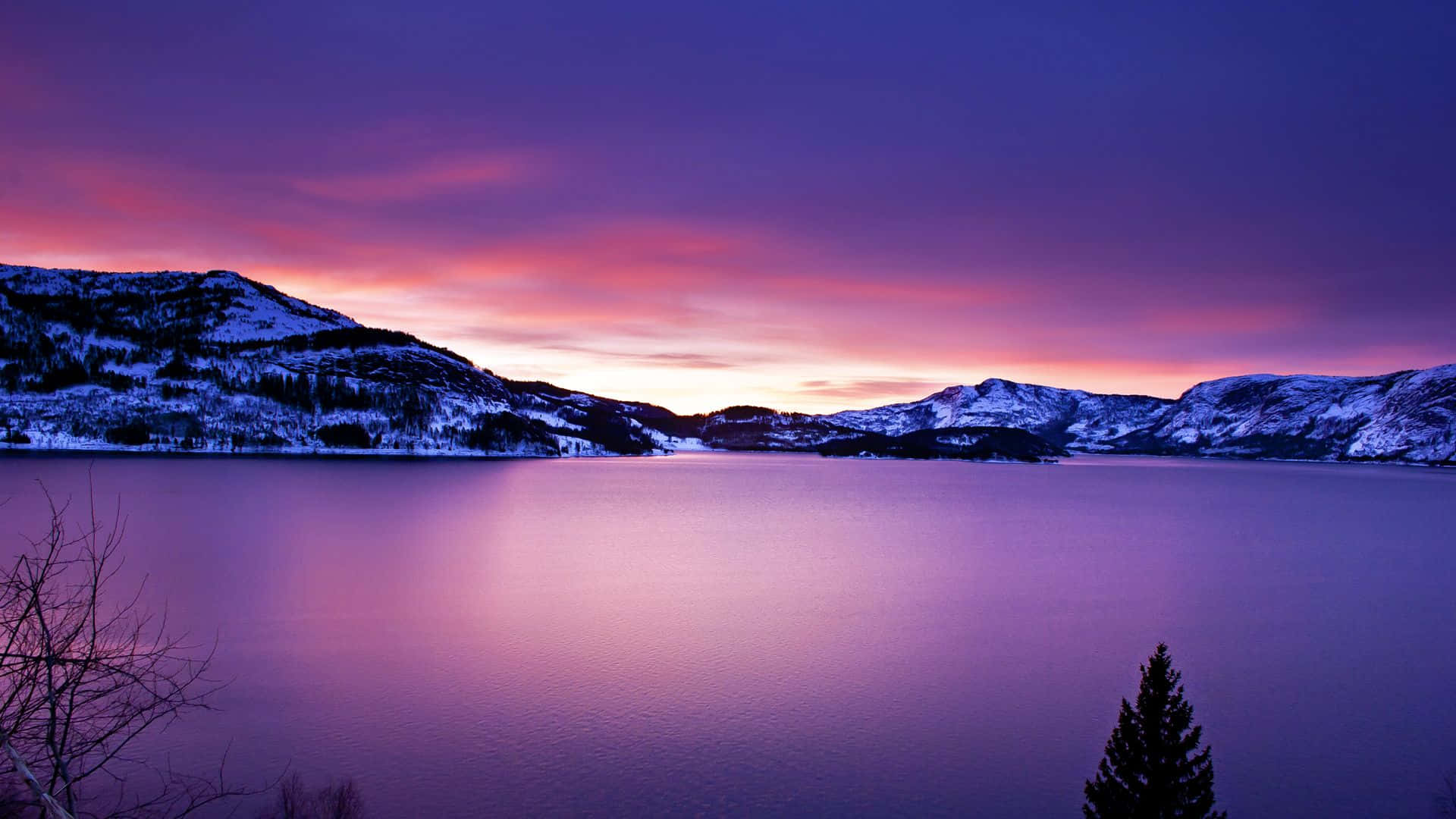 Frozen Lake 桌布 壁紙 — 寧靜的冬日湖泊倒映著雪覆山巒上方紫粉色的日落天空。